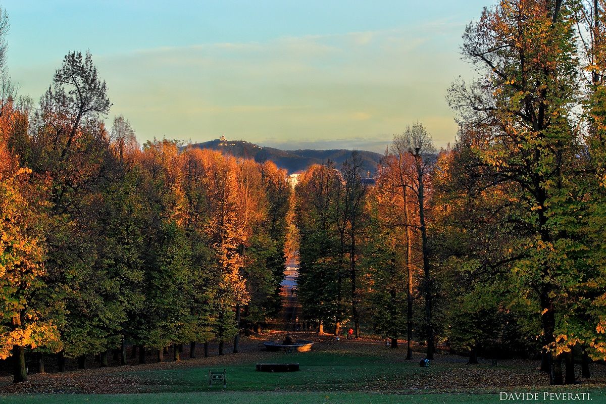 Mandria Regional Park