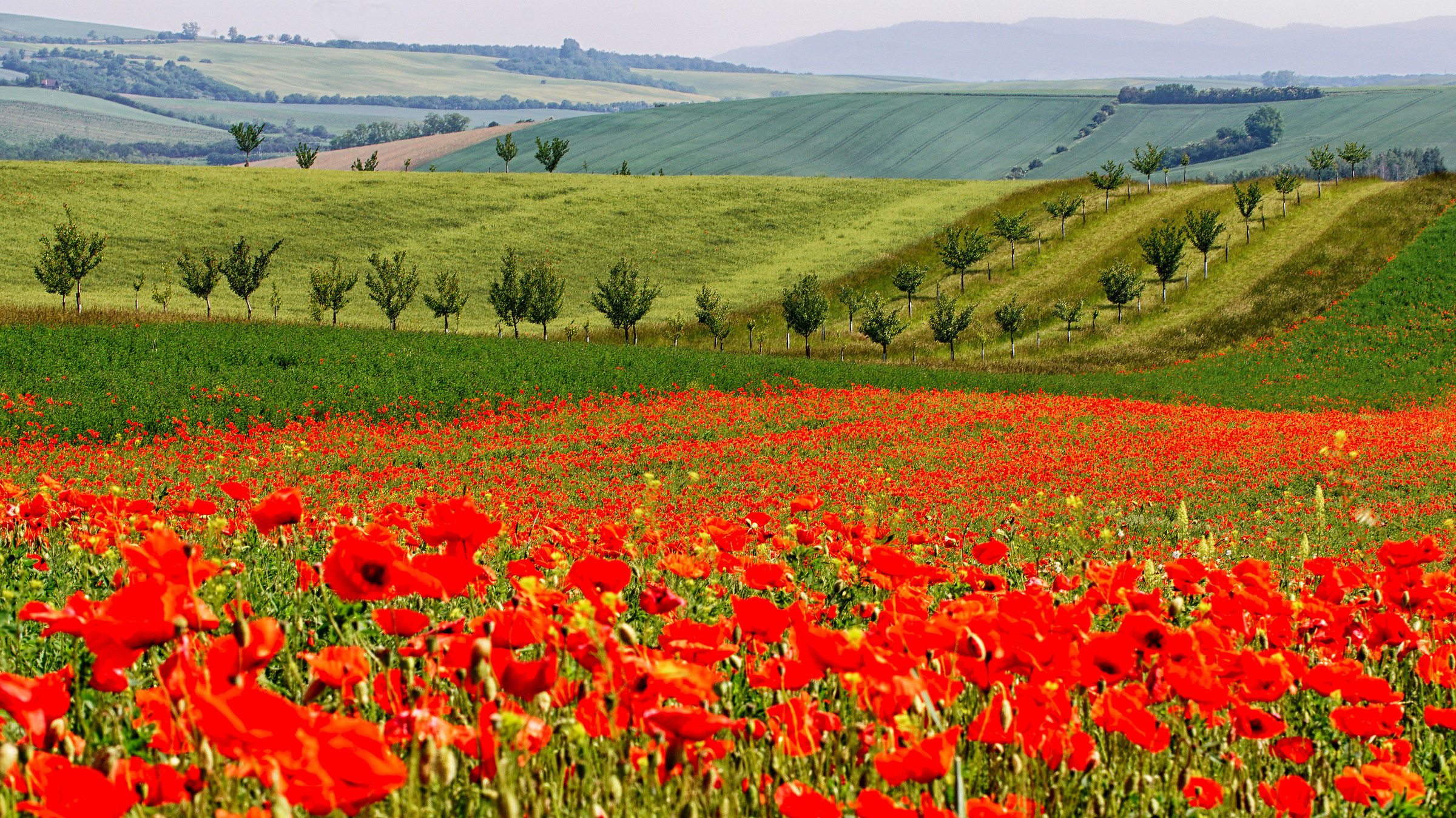 Moravian Tuscany (Toscana di Moravia)