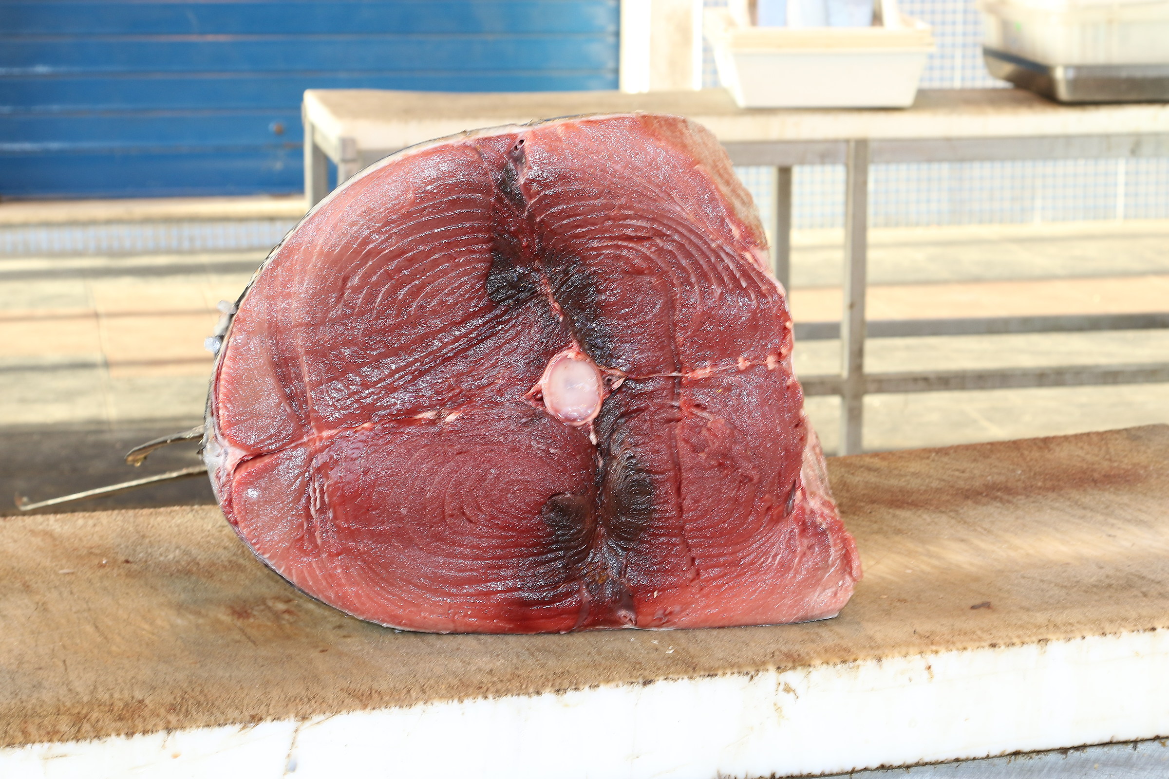 Dal banco del pesce: Tonno