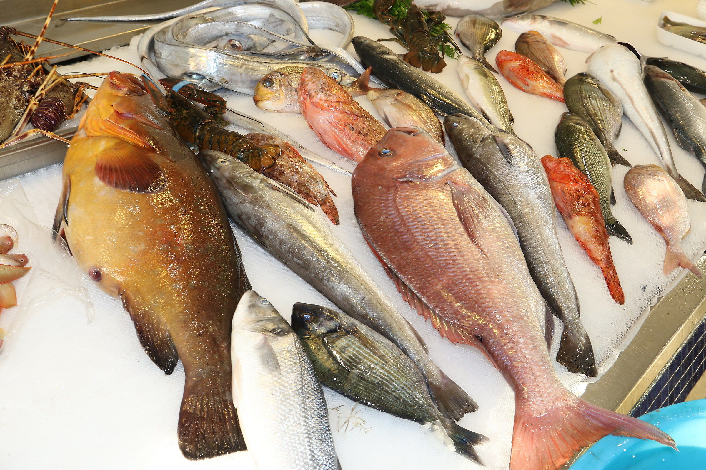 Dal banco del pesce: assortimento