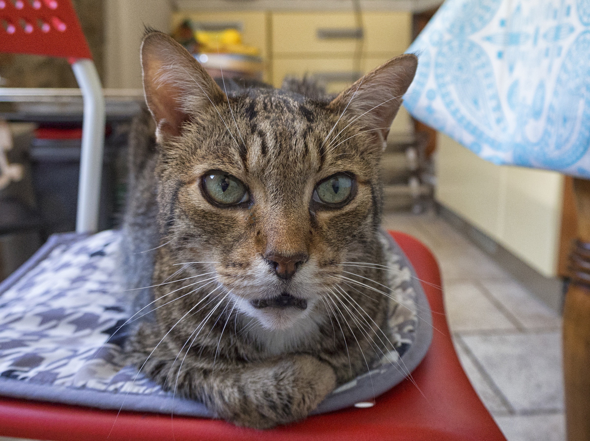 15 years of adventures between sofa, bed and chairs