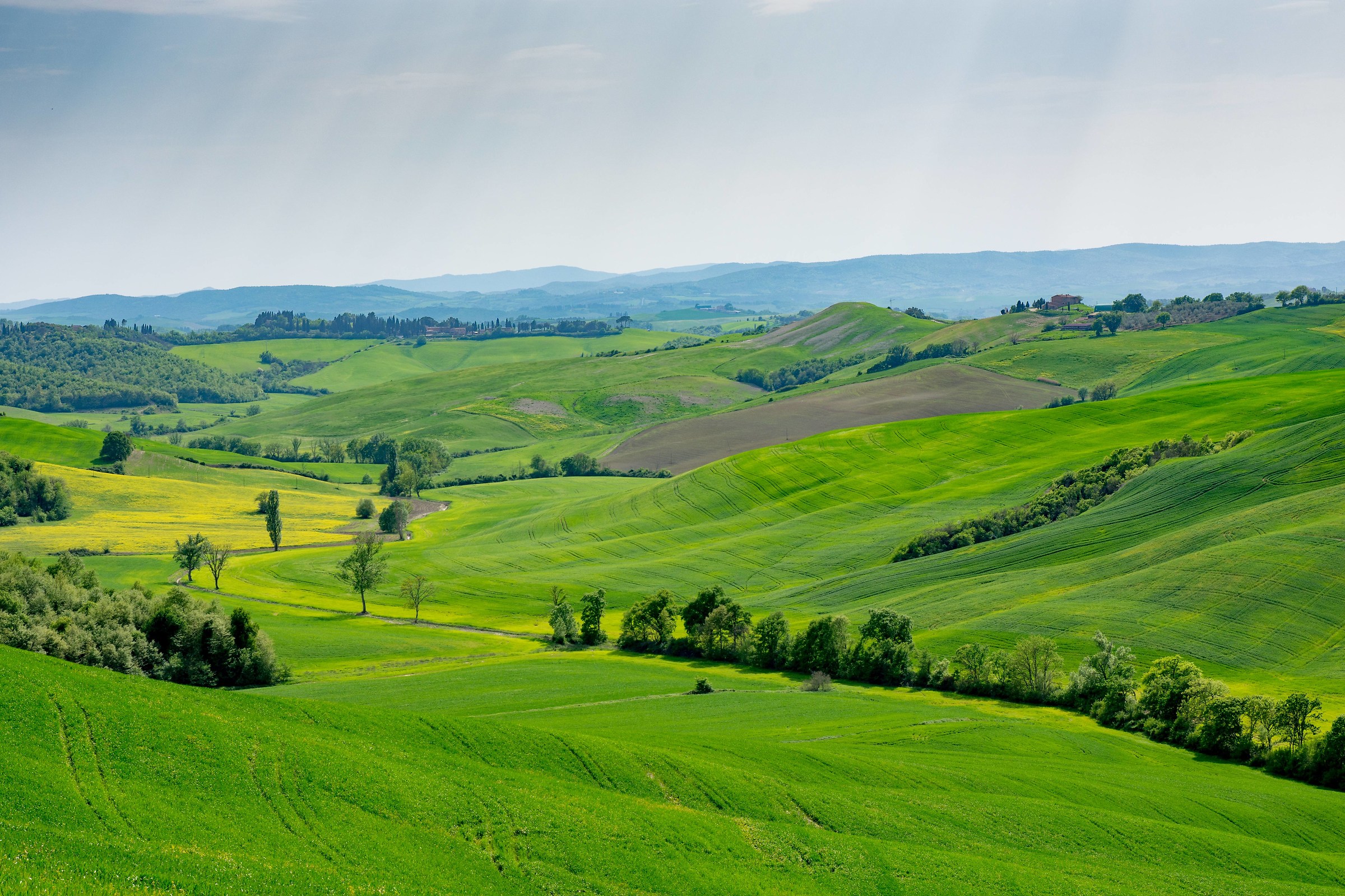 Crete Senesi