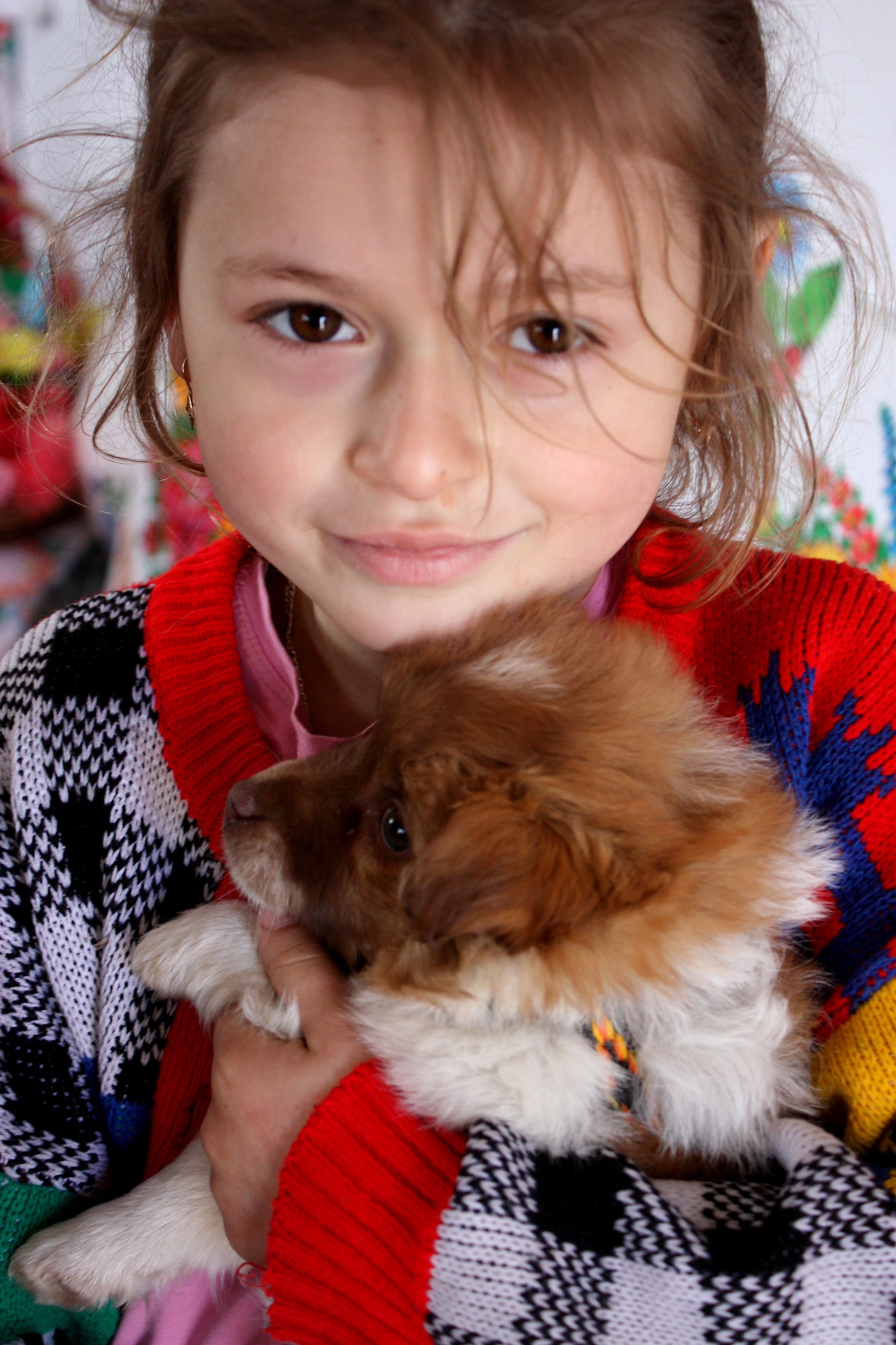 Bimba polacca con cane