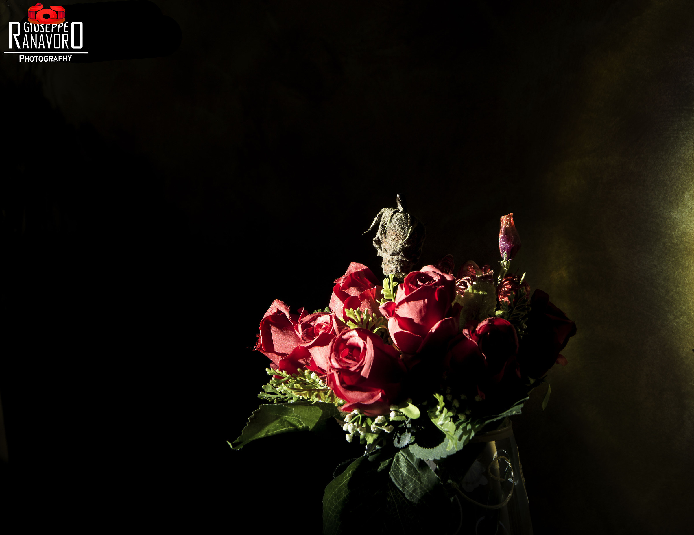 Untitled Photo