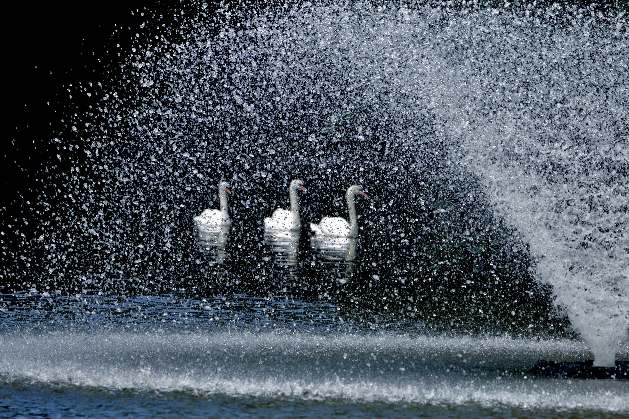 The Swan shower