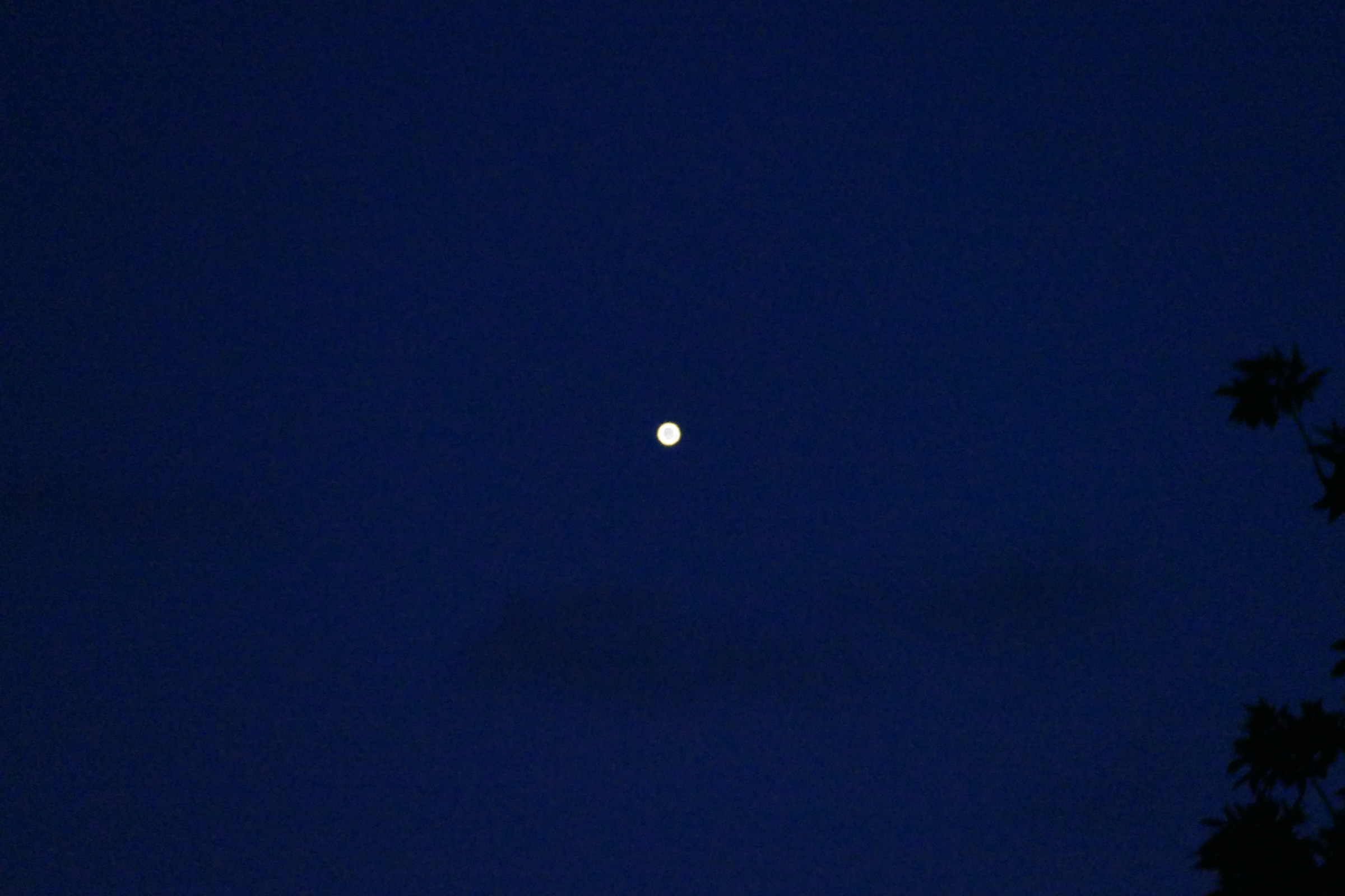 Venus, our planet + near