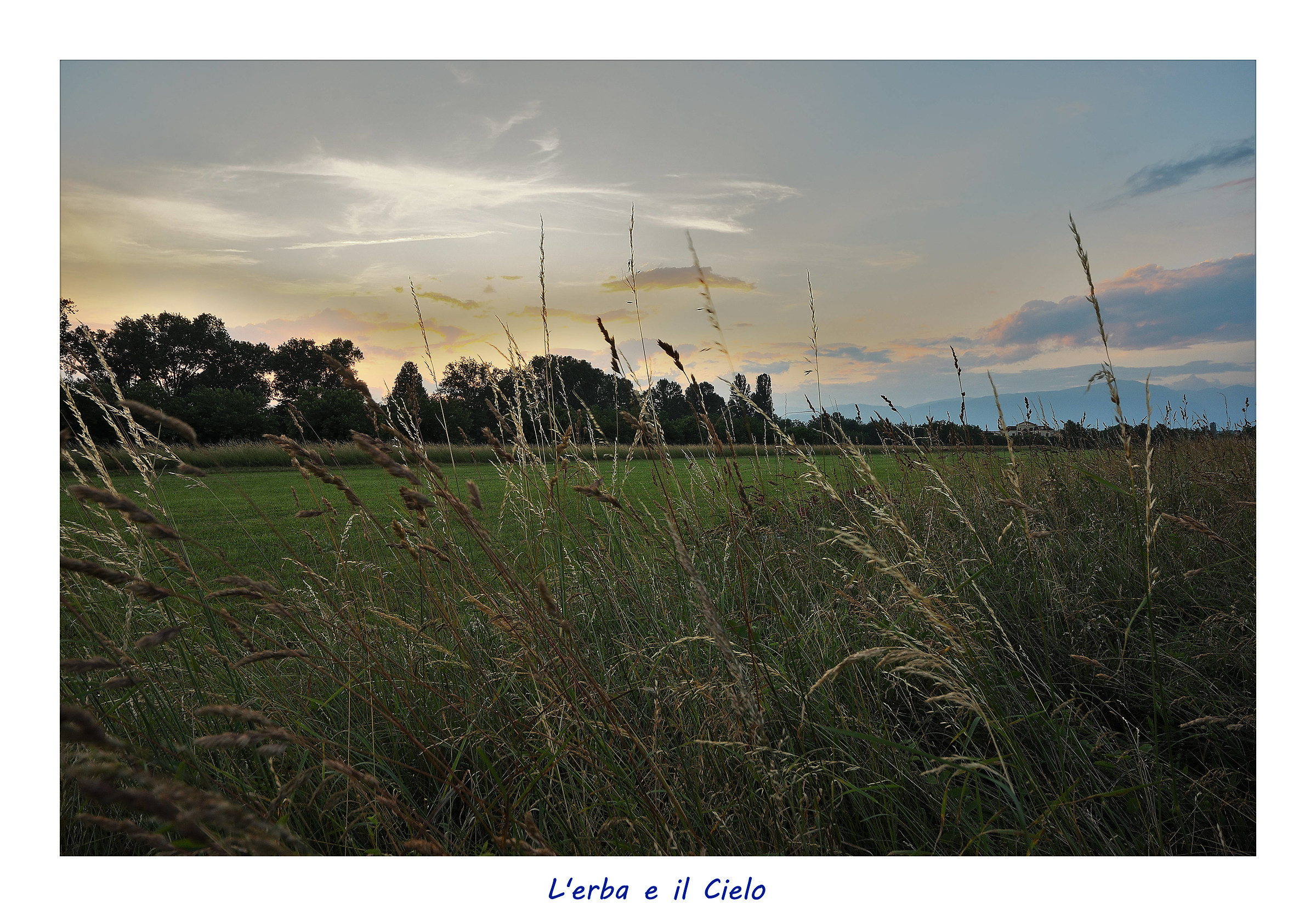 Untitled Photo