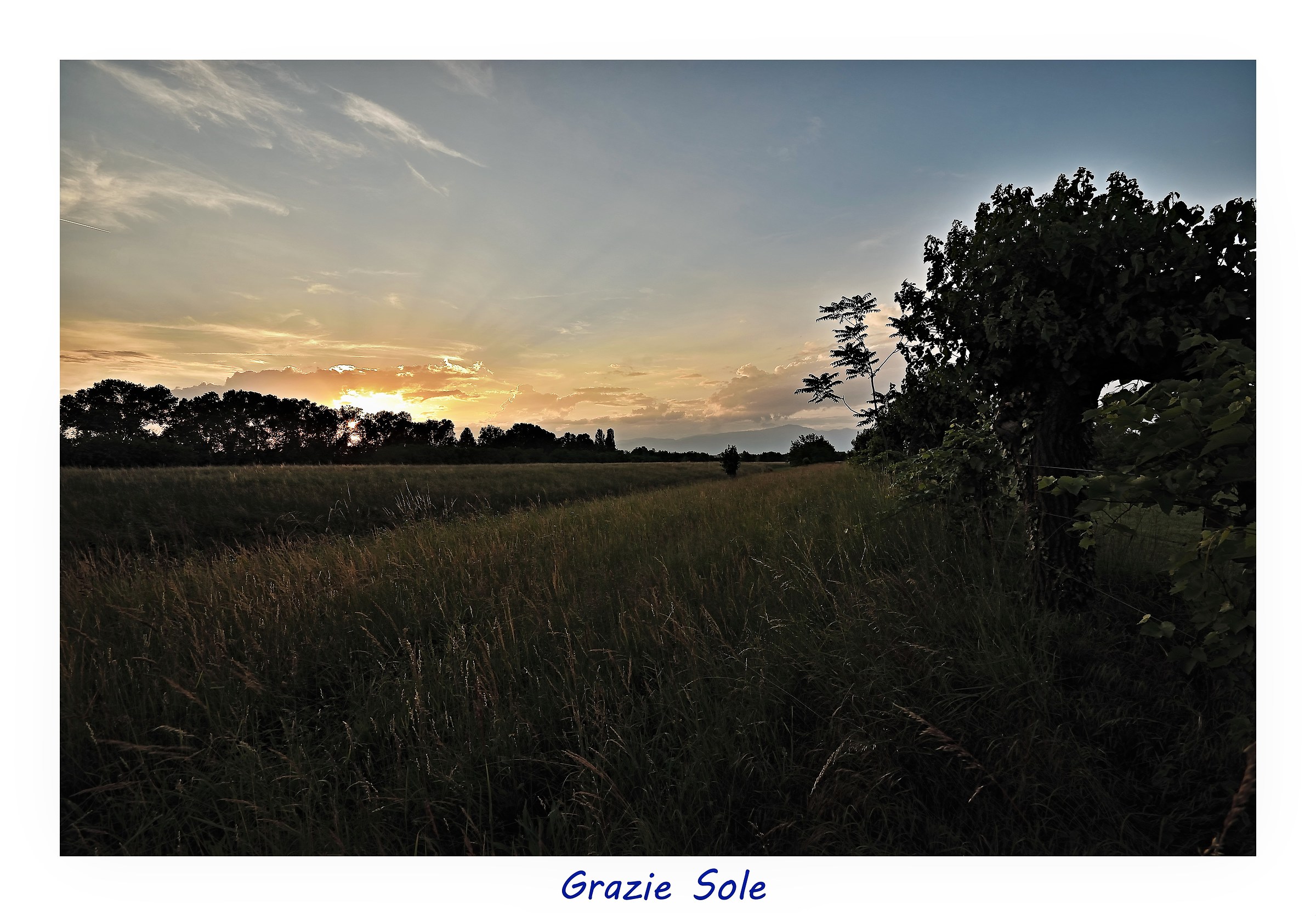 Untitled Photo