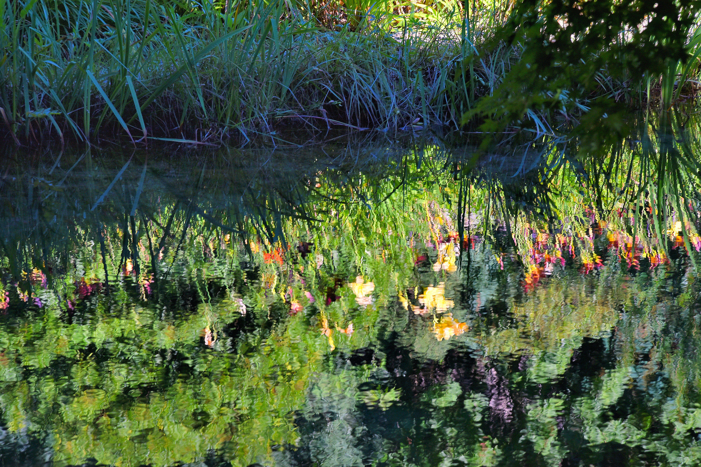 Reflections in the Water