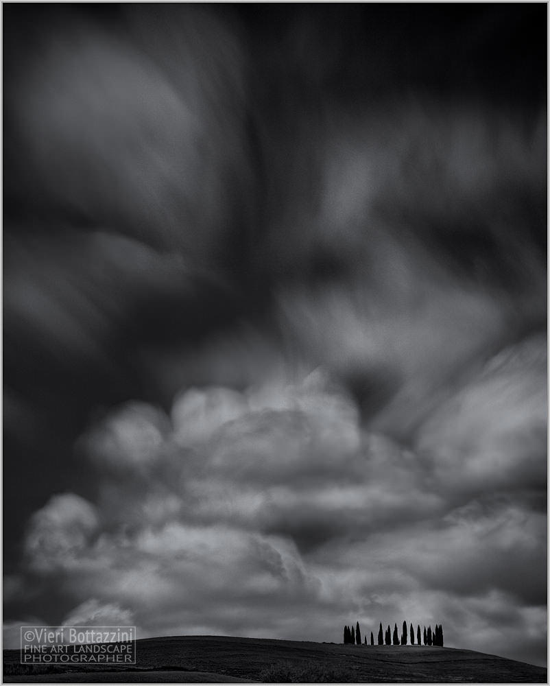 I cipressi di Val d'Orcia, B&W
