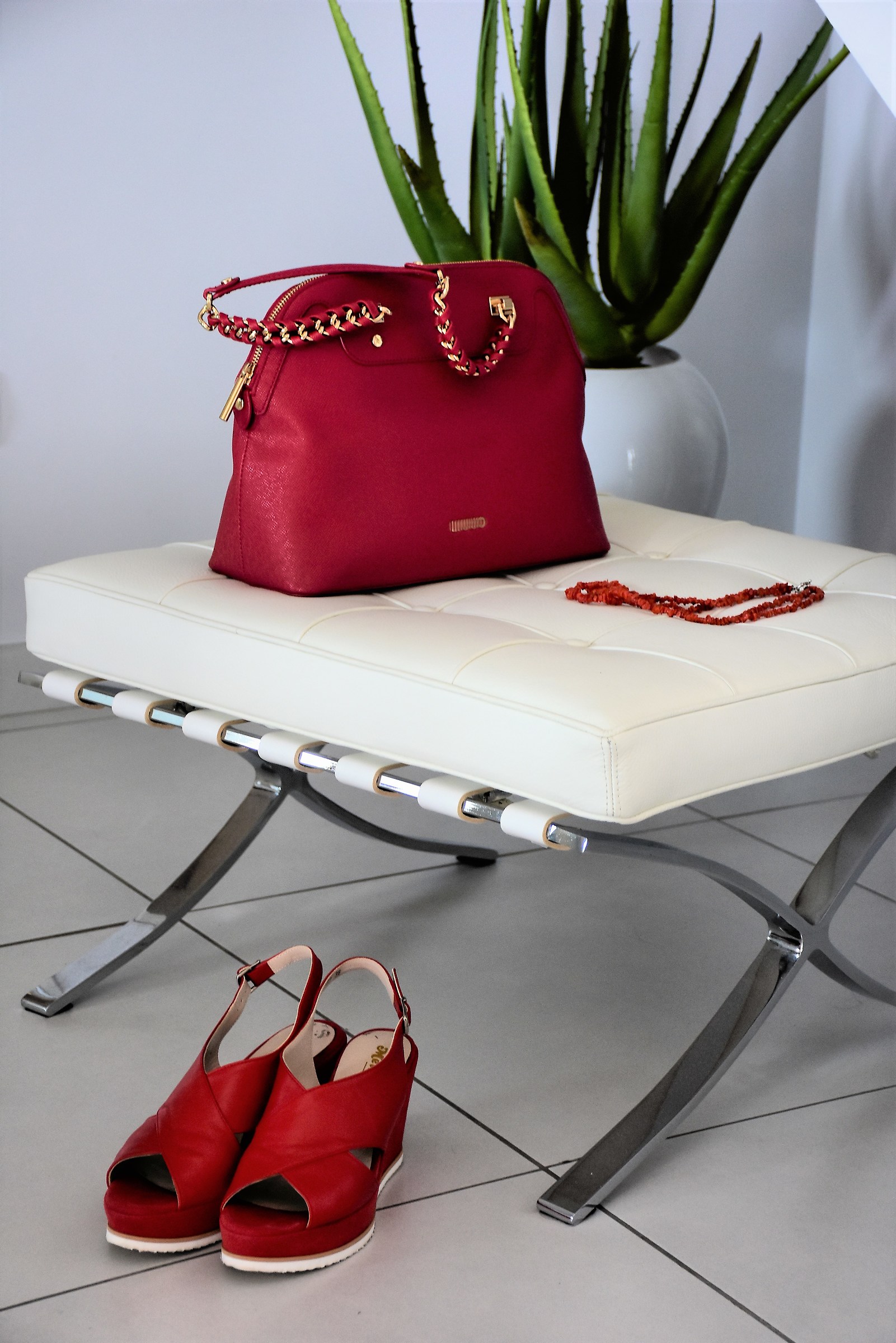 ma quanto mi costa mia moglie..