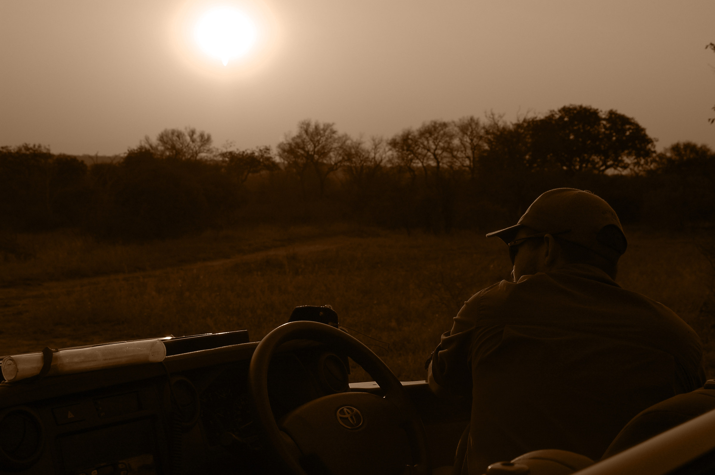 Savannah and Thoughts