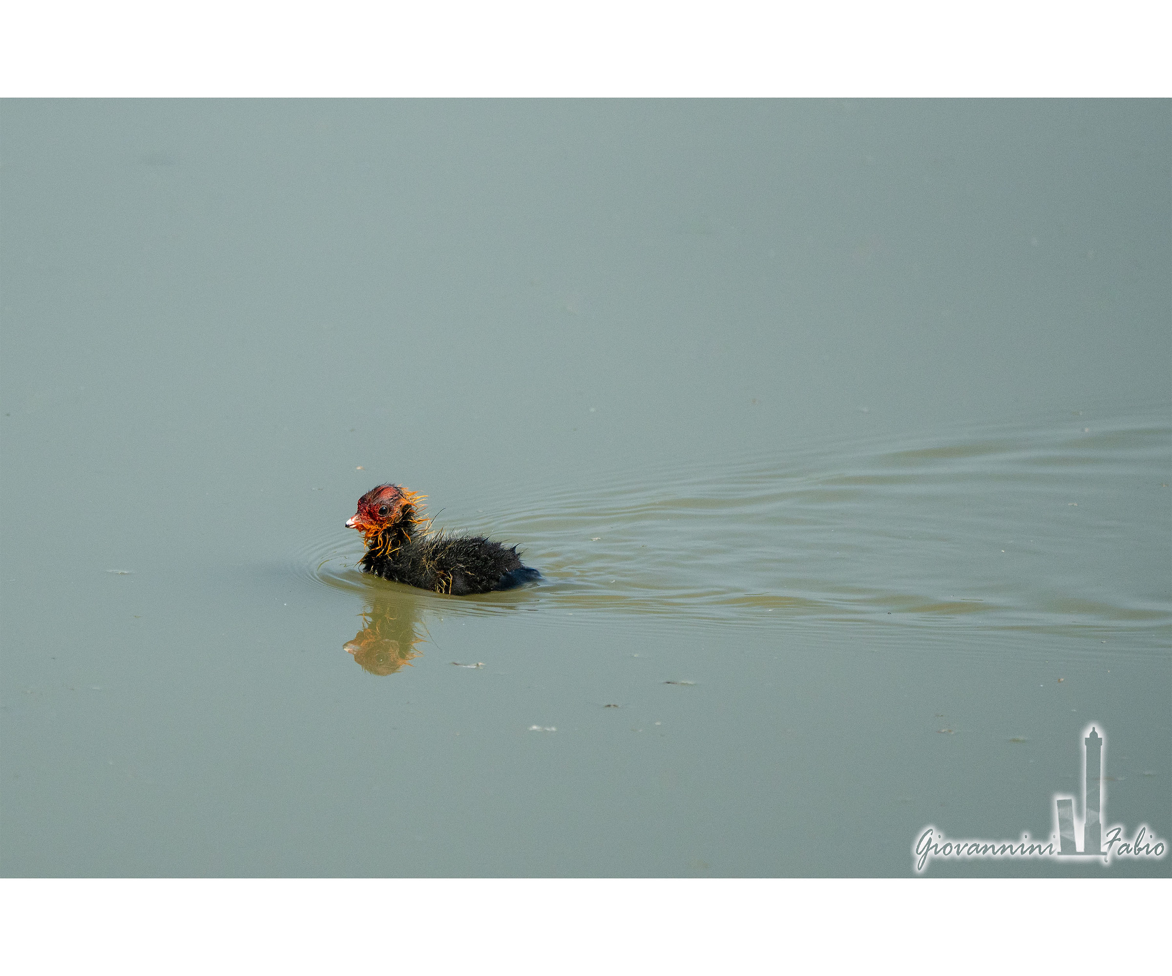 I go to the hairdresser