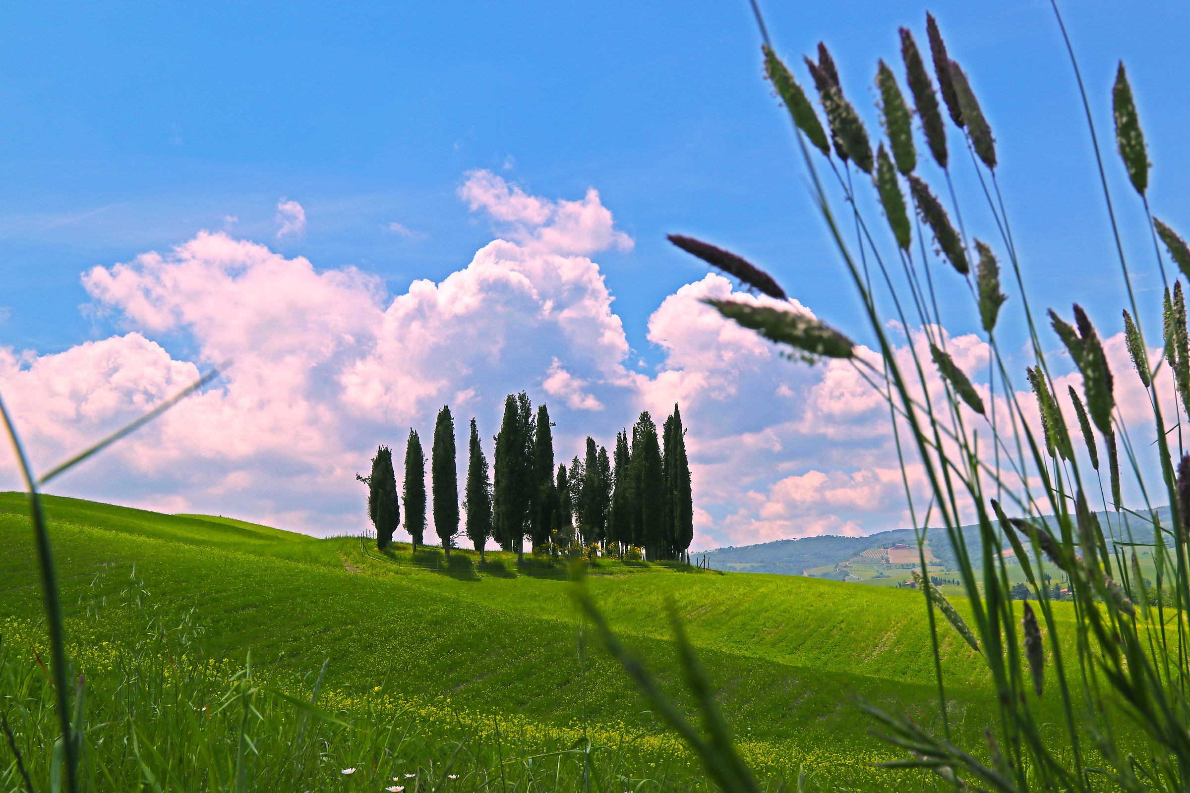 Val D'orcia