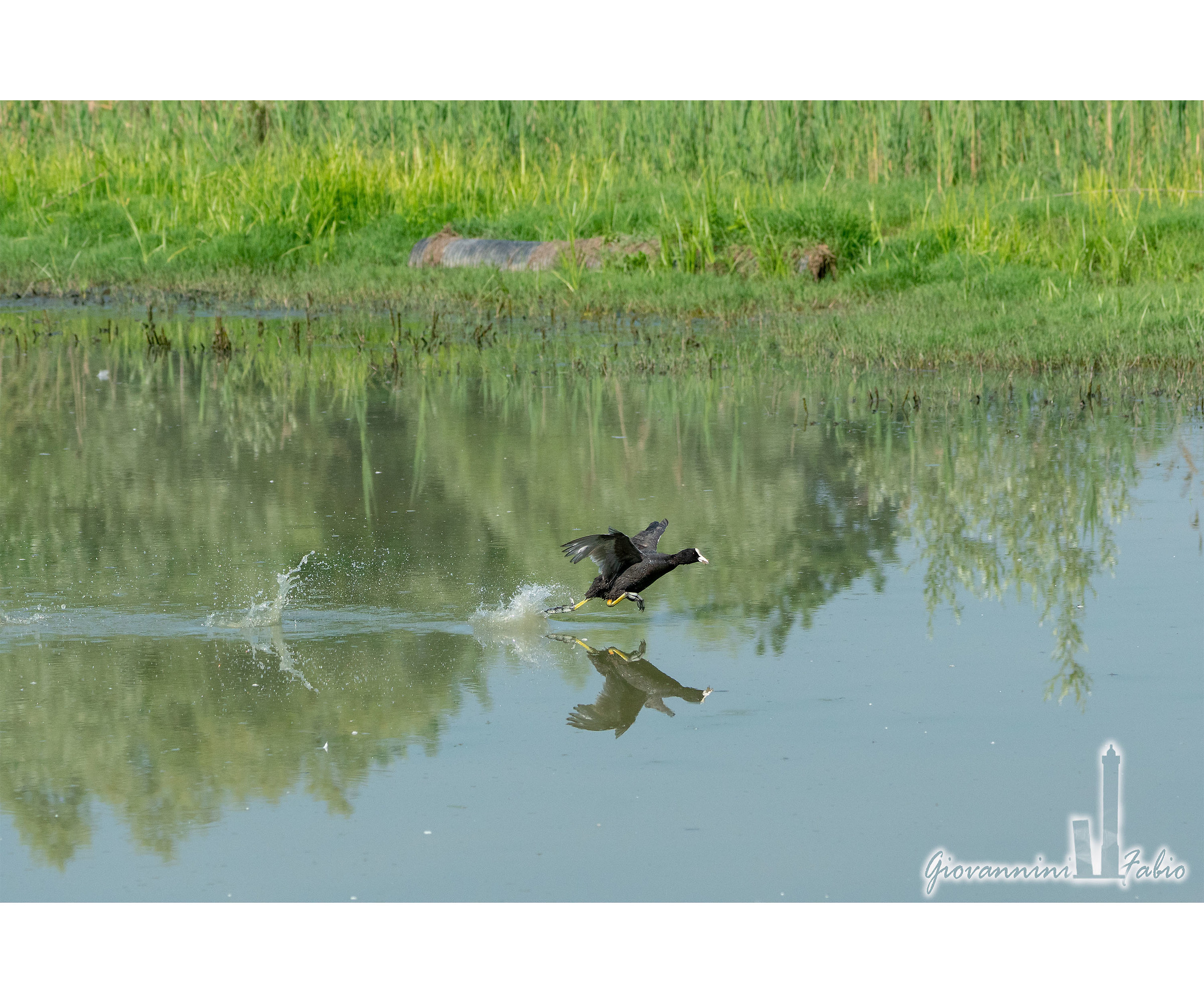 But I don't turn water into wine