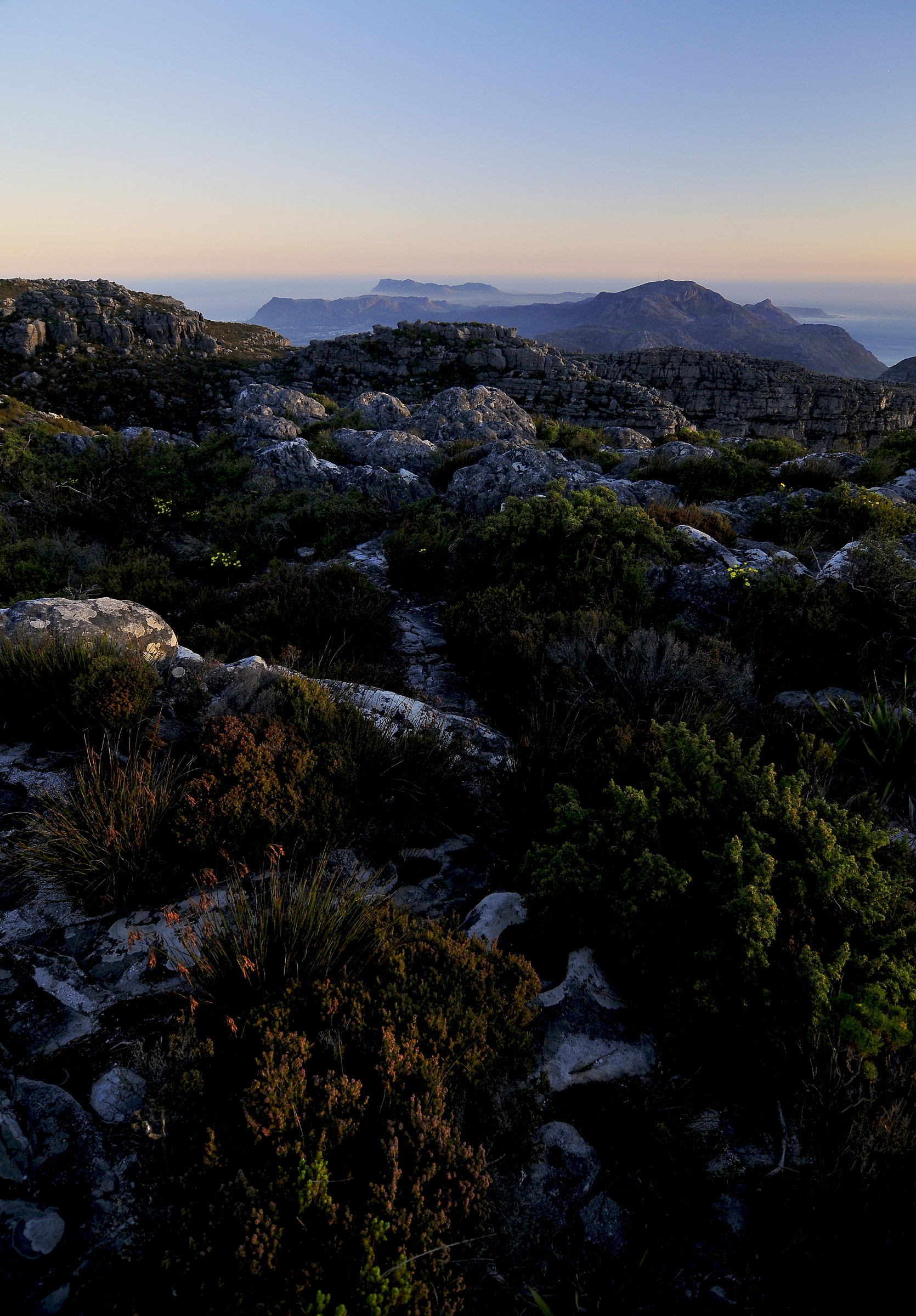 Stones, Life and immensity