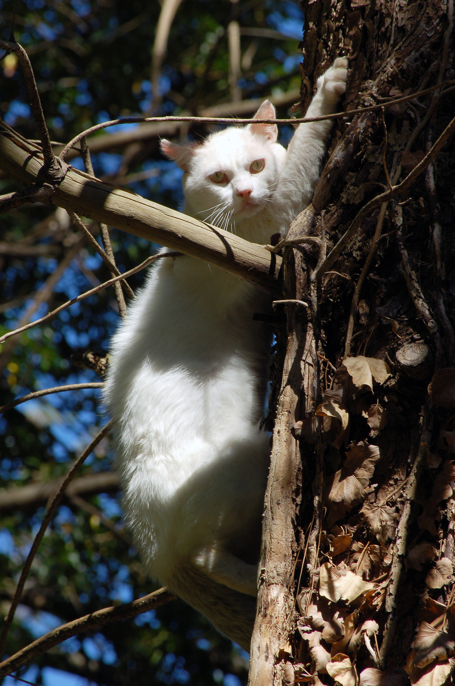 Climbing out of program