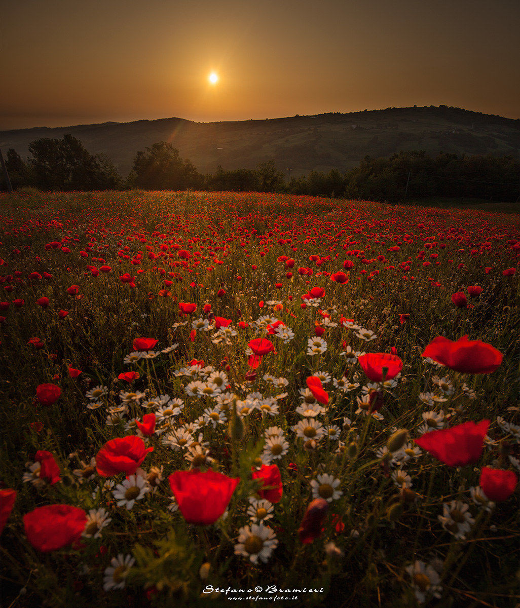 Sunrise in Alta Valchero