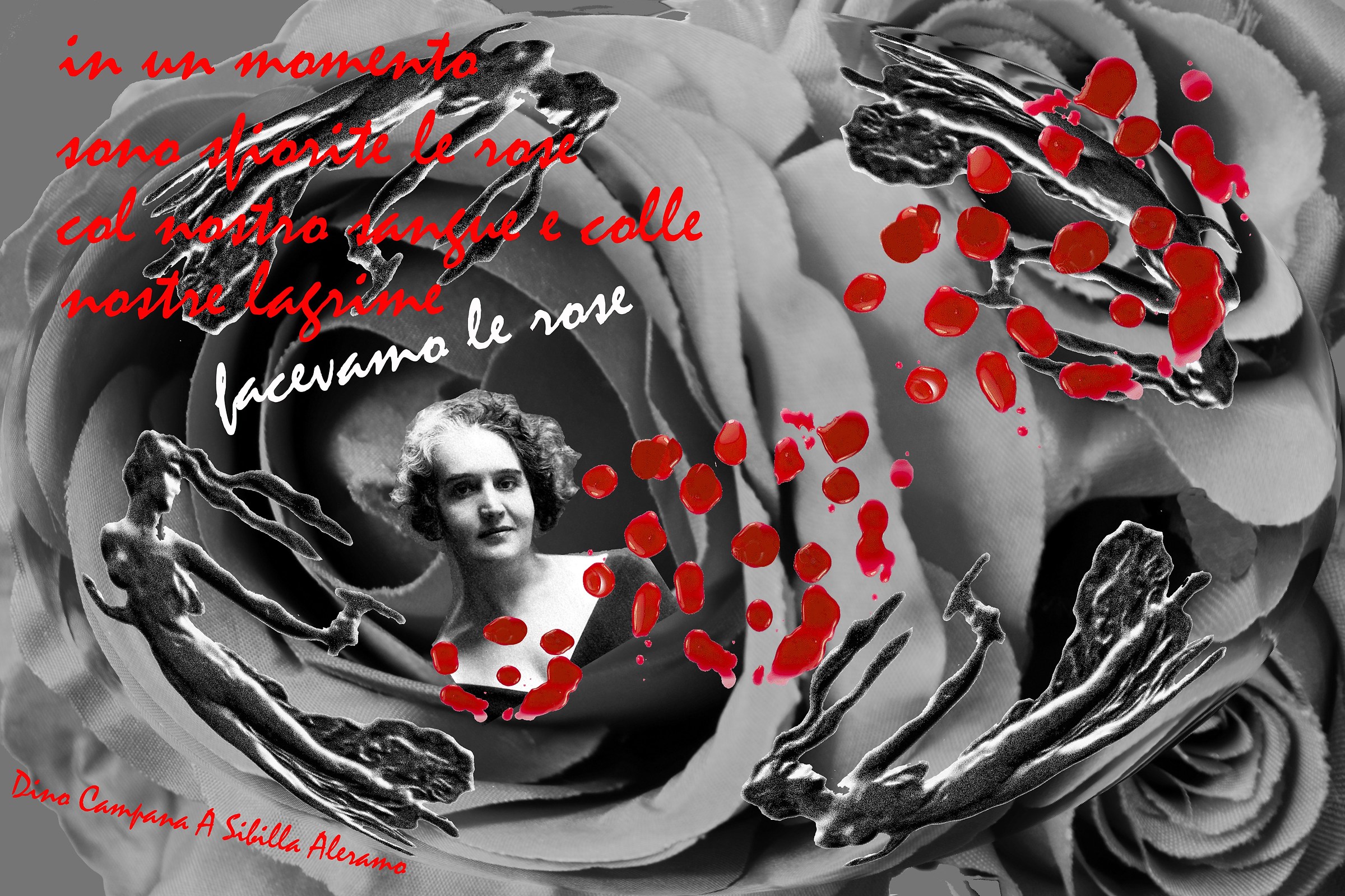 Foto Installazione-Dino e Sibilla ..Facevamo le Rose