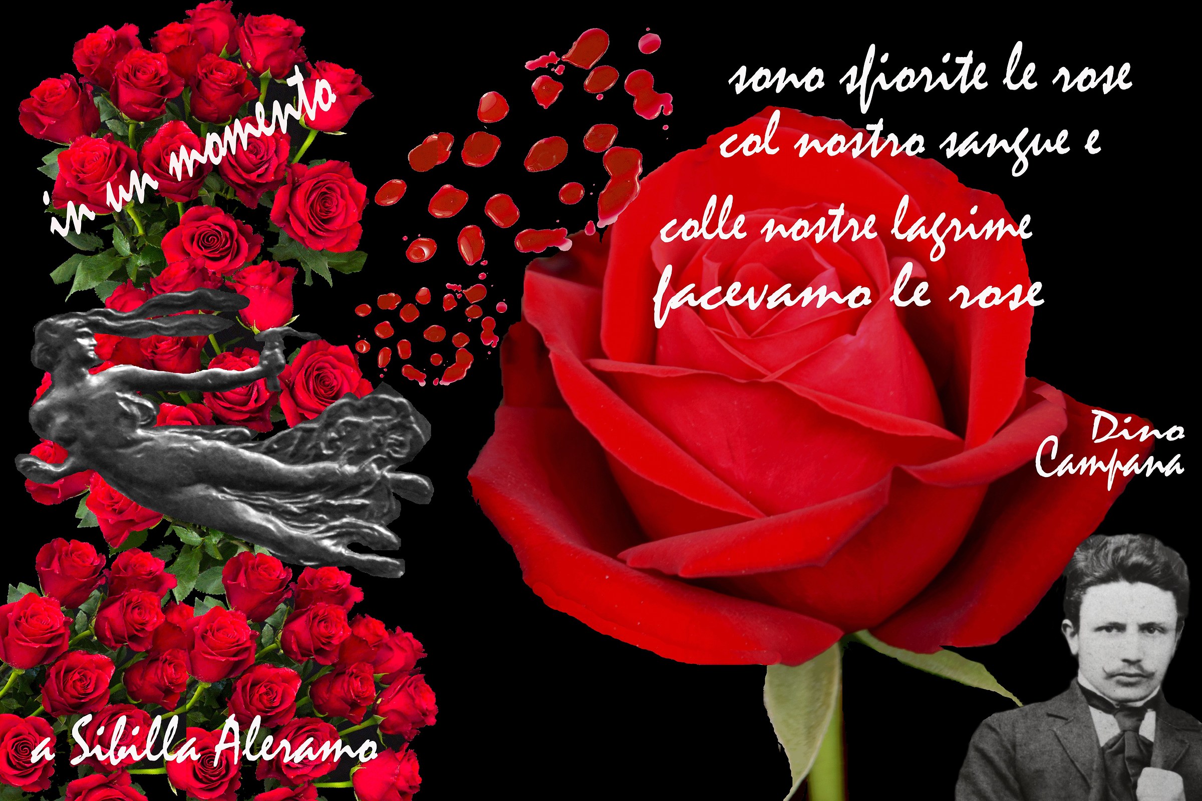 Foto Installazione-Dino Campana-Sono sfiorite le Rose