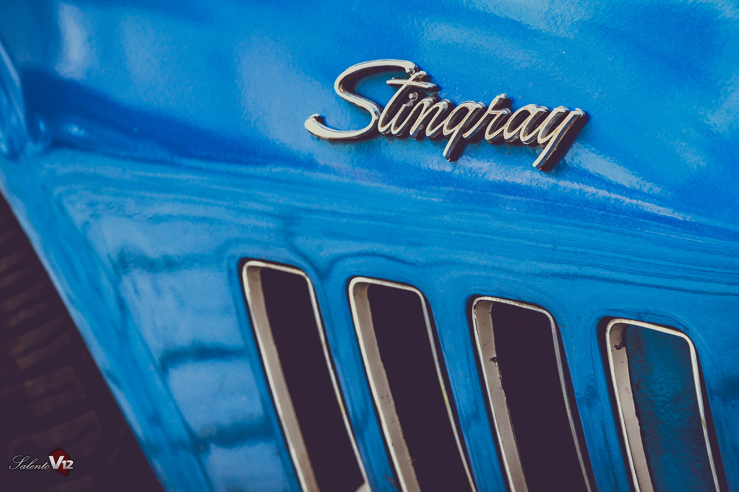 Stingray