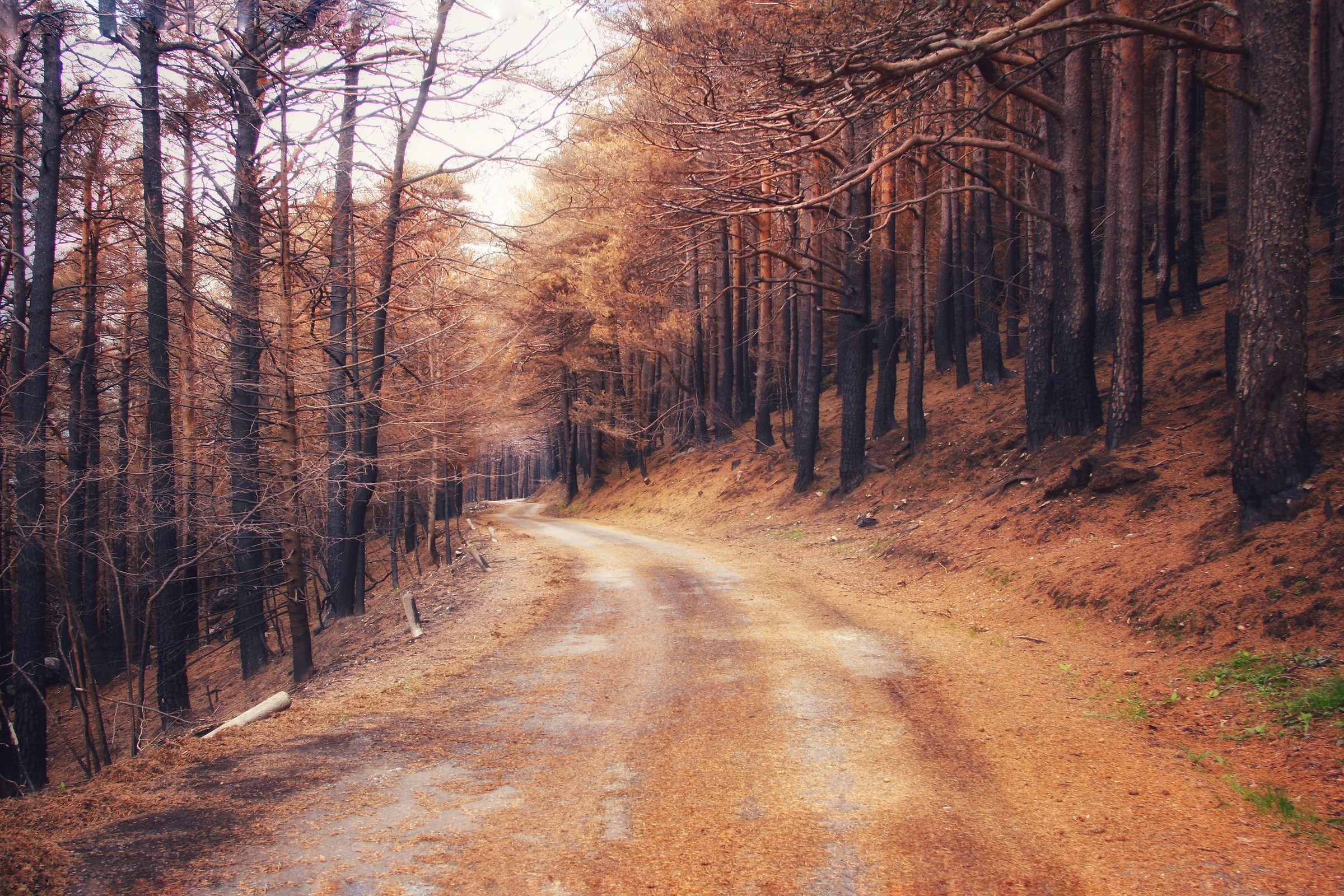 The spring on the Rocciamelone