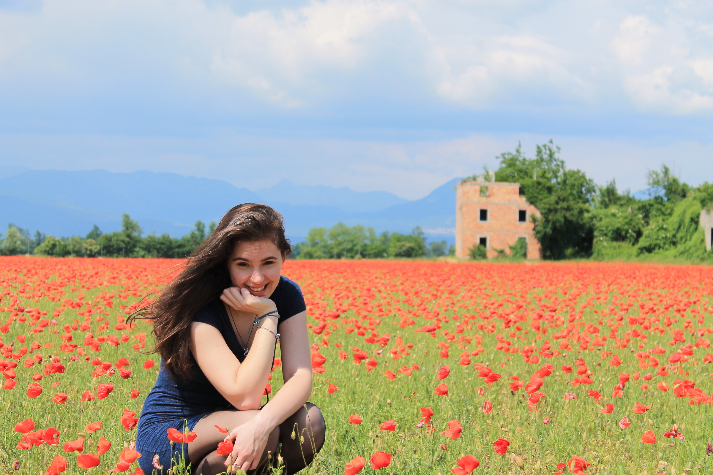 Amid the poppies