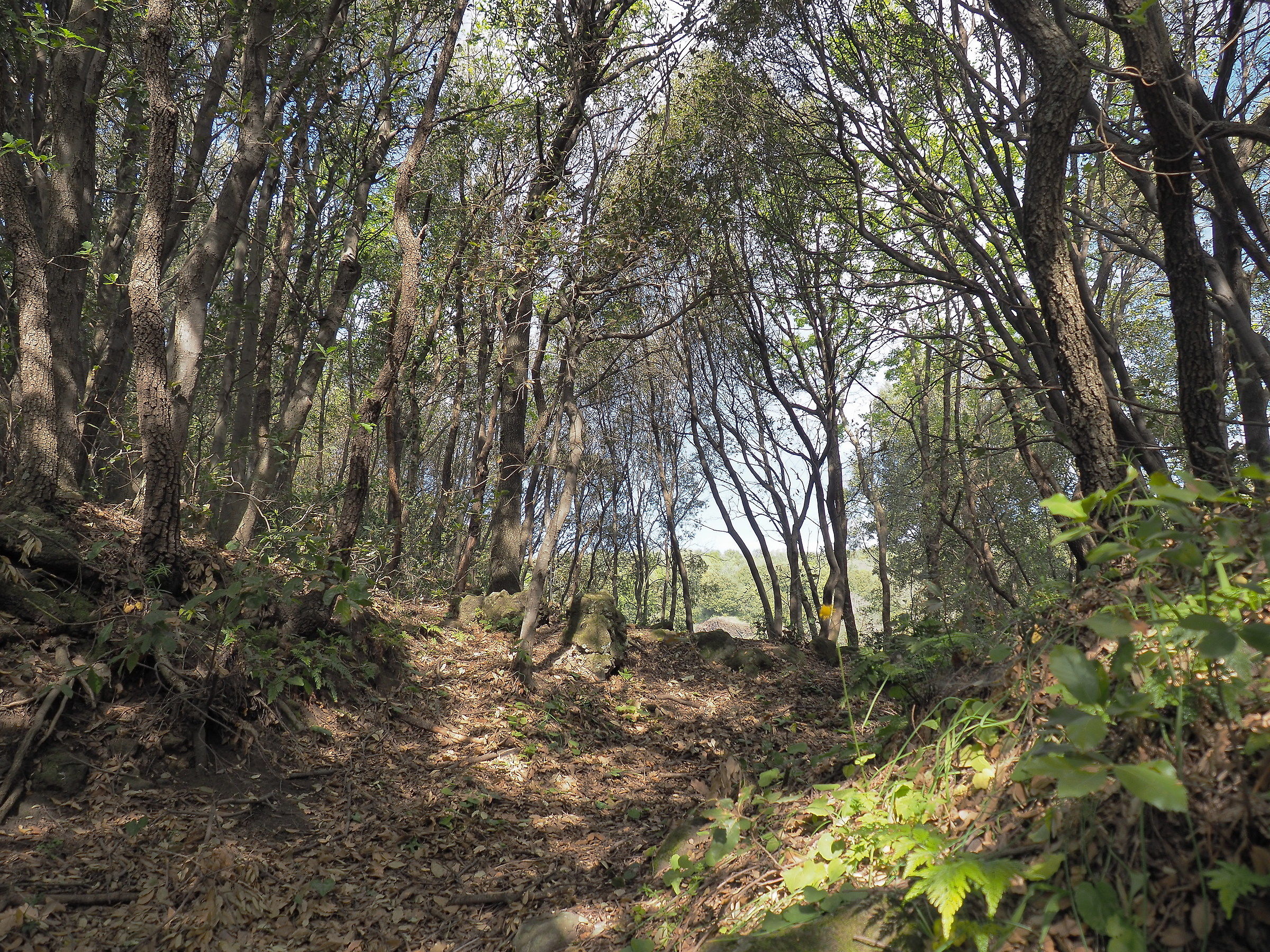 Lì c'è la mia casa