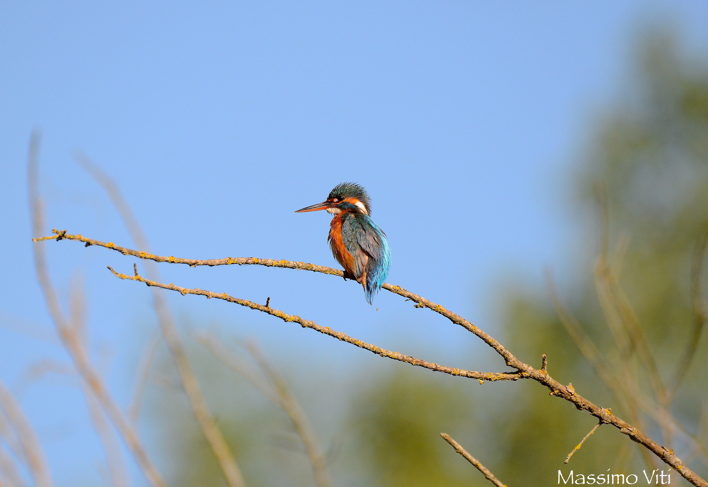 "Tenderness" Martino set