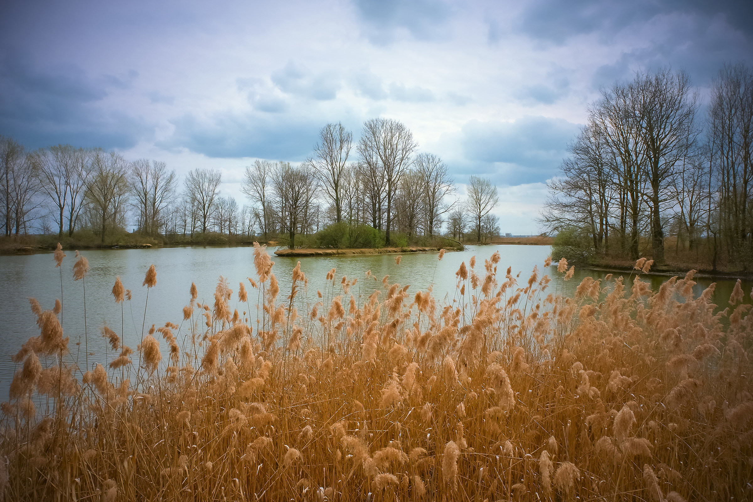 oasi di casalbeltrame 2018