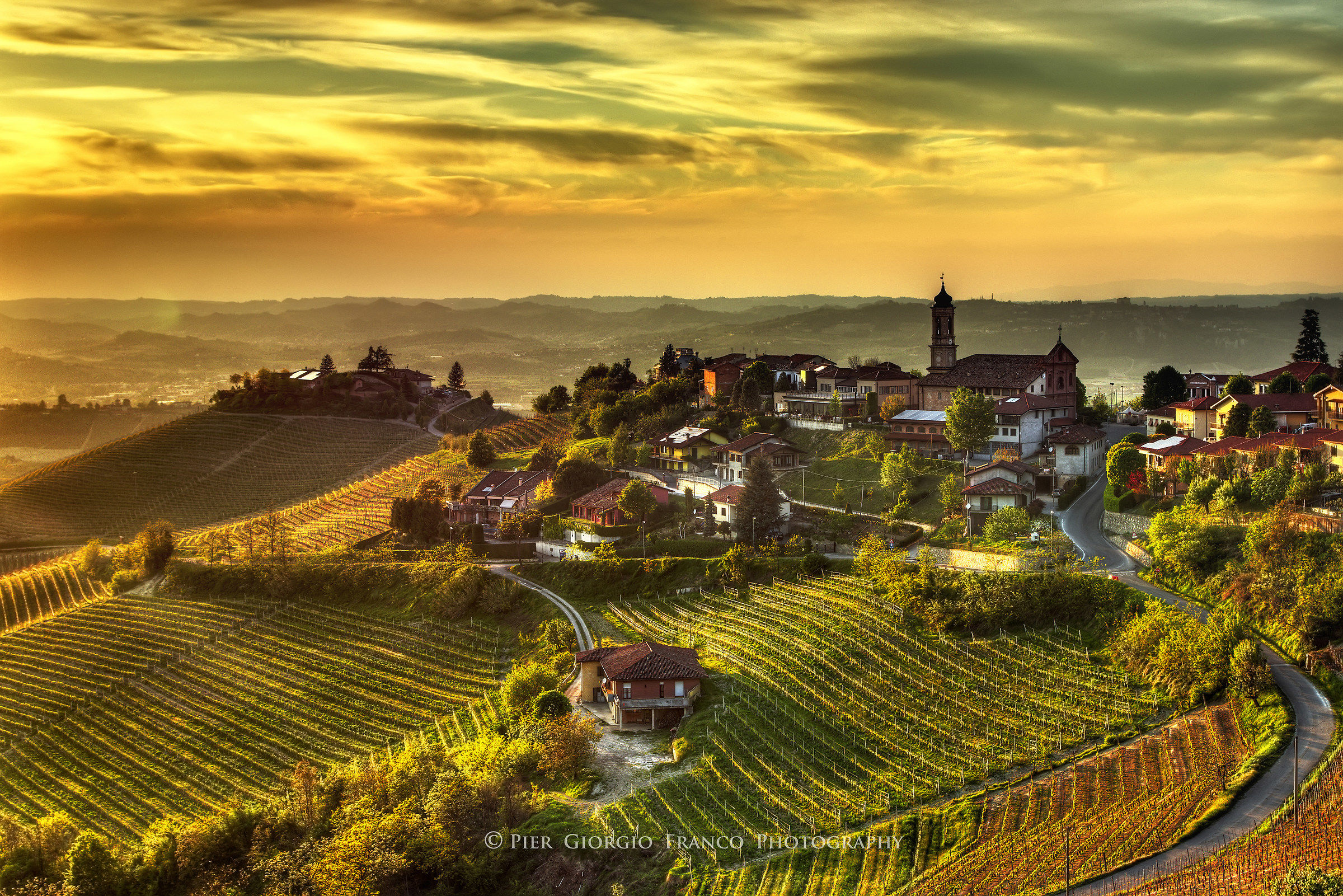 Langhe - Treiso ed i suoi vigneti al tramonto