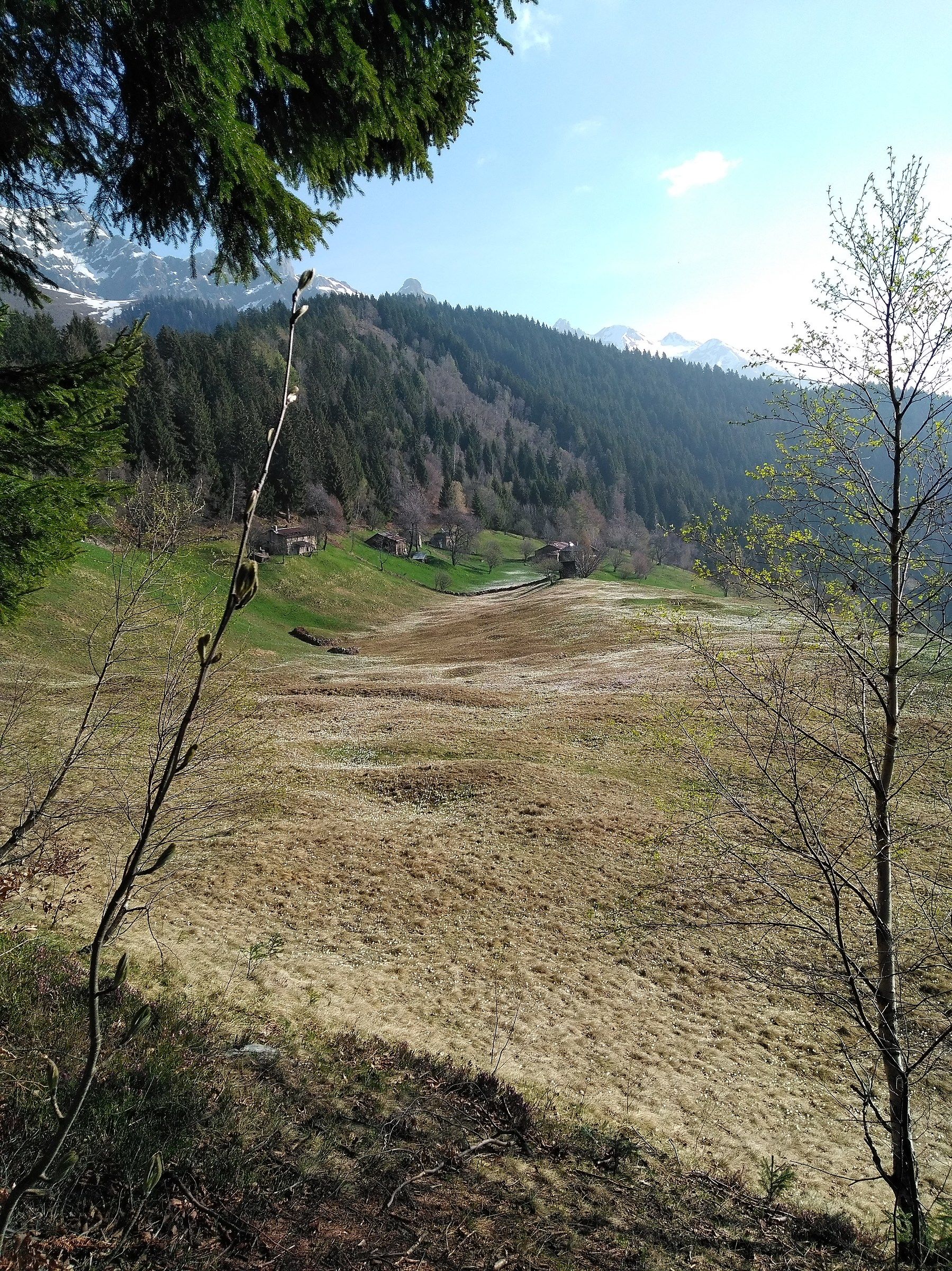 Località Pigolota..Valtorta