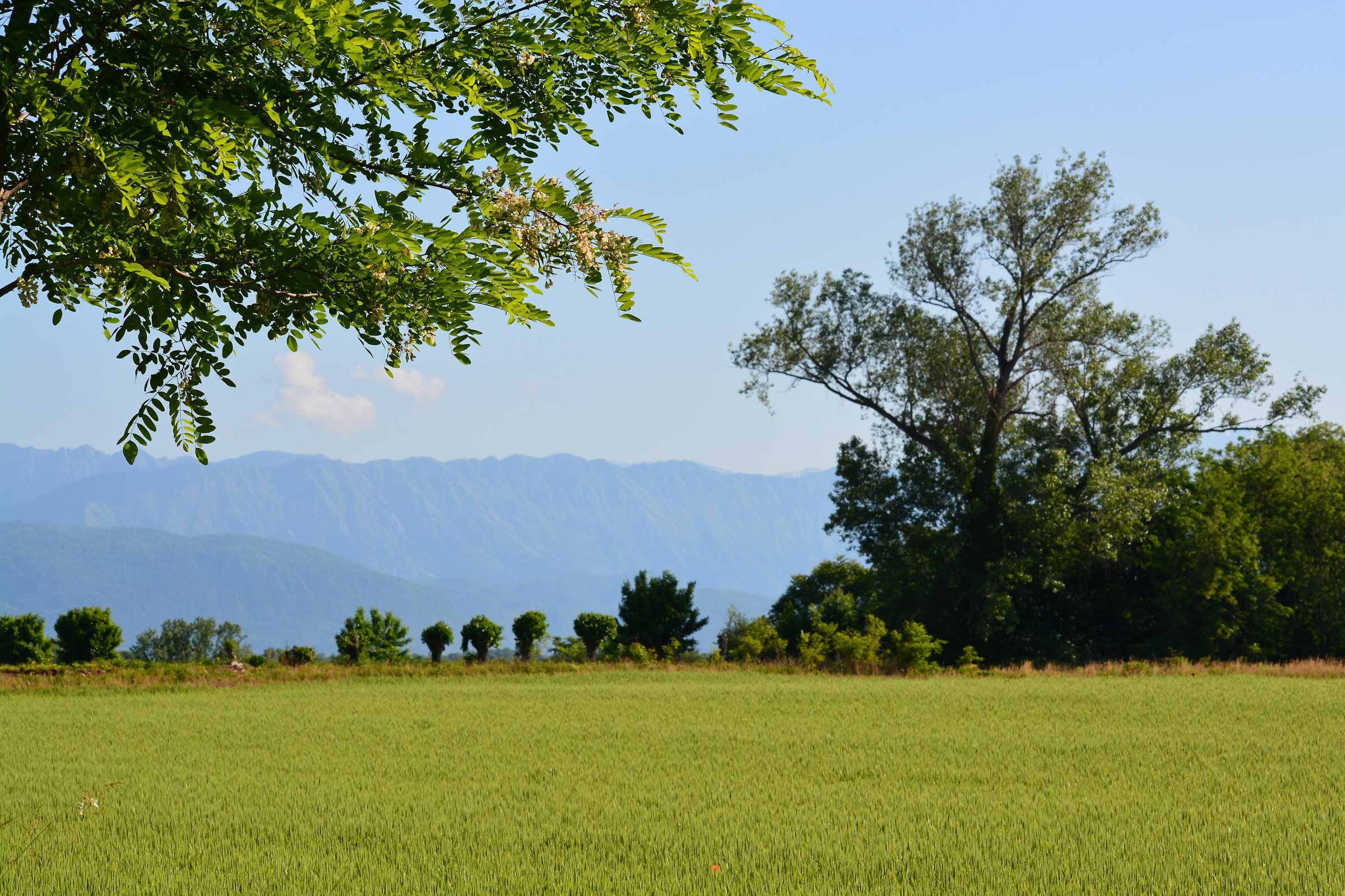 paesaggio colline moreniche del Friuli