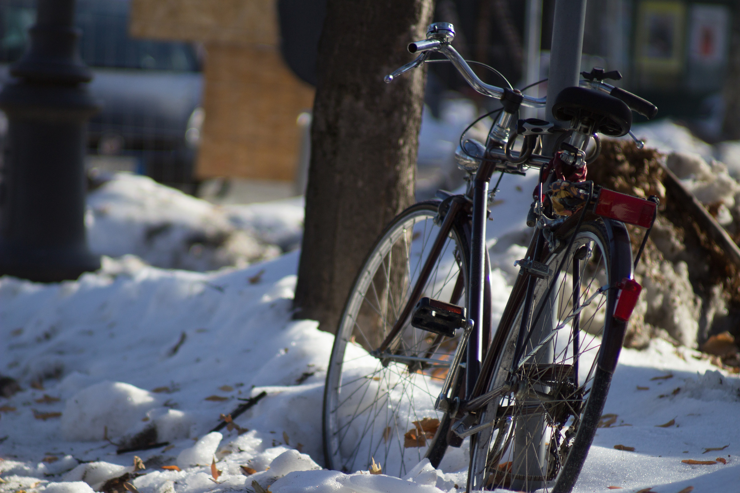 Walking through the streets of Cuneo