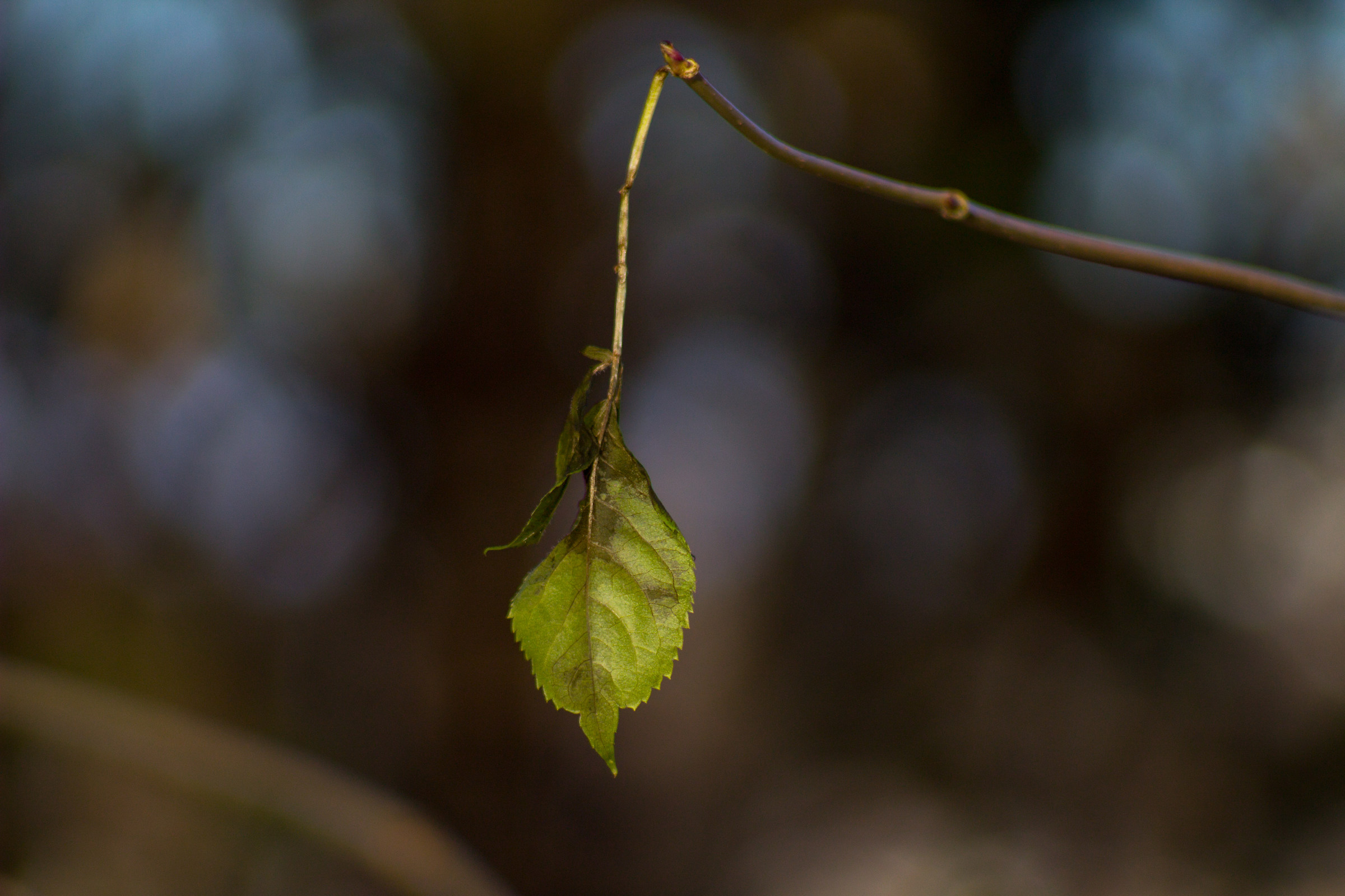 Waist clinging to a thread