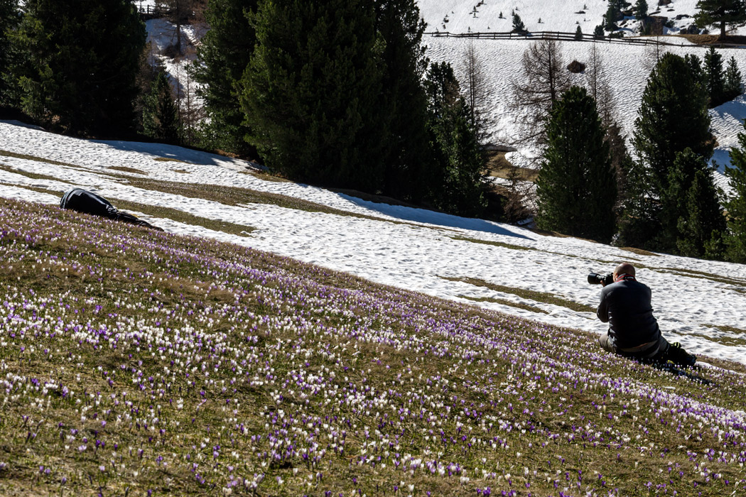 Hunting... photographic