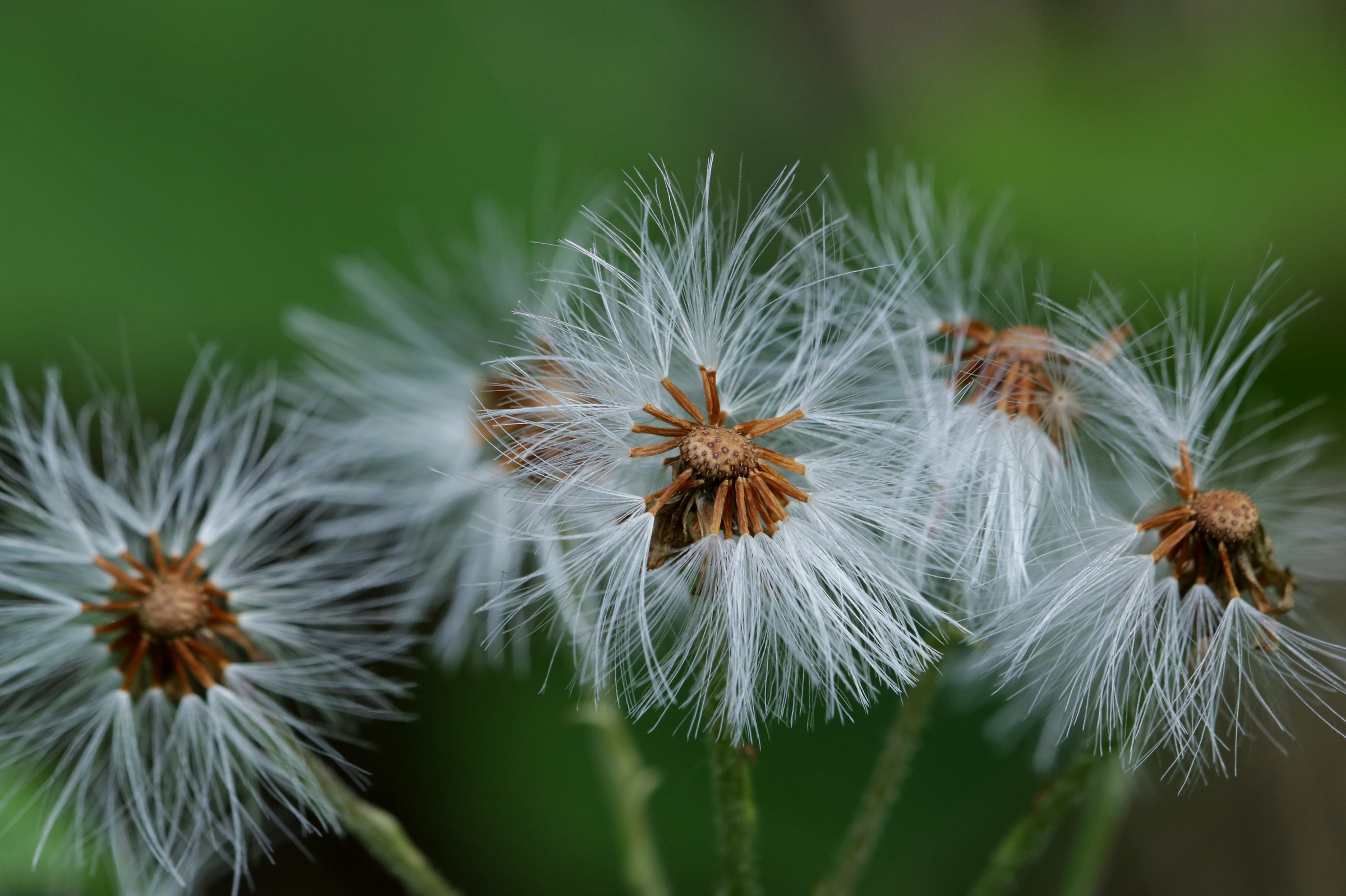 Light as a breath of breeze