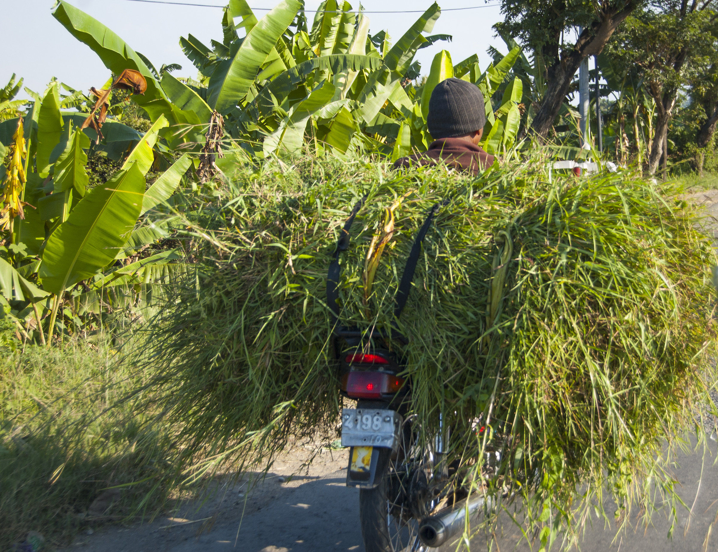 Sulla strada tra Jakarta e Yogyakarta