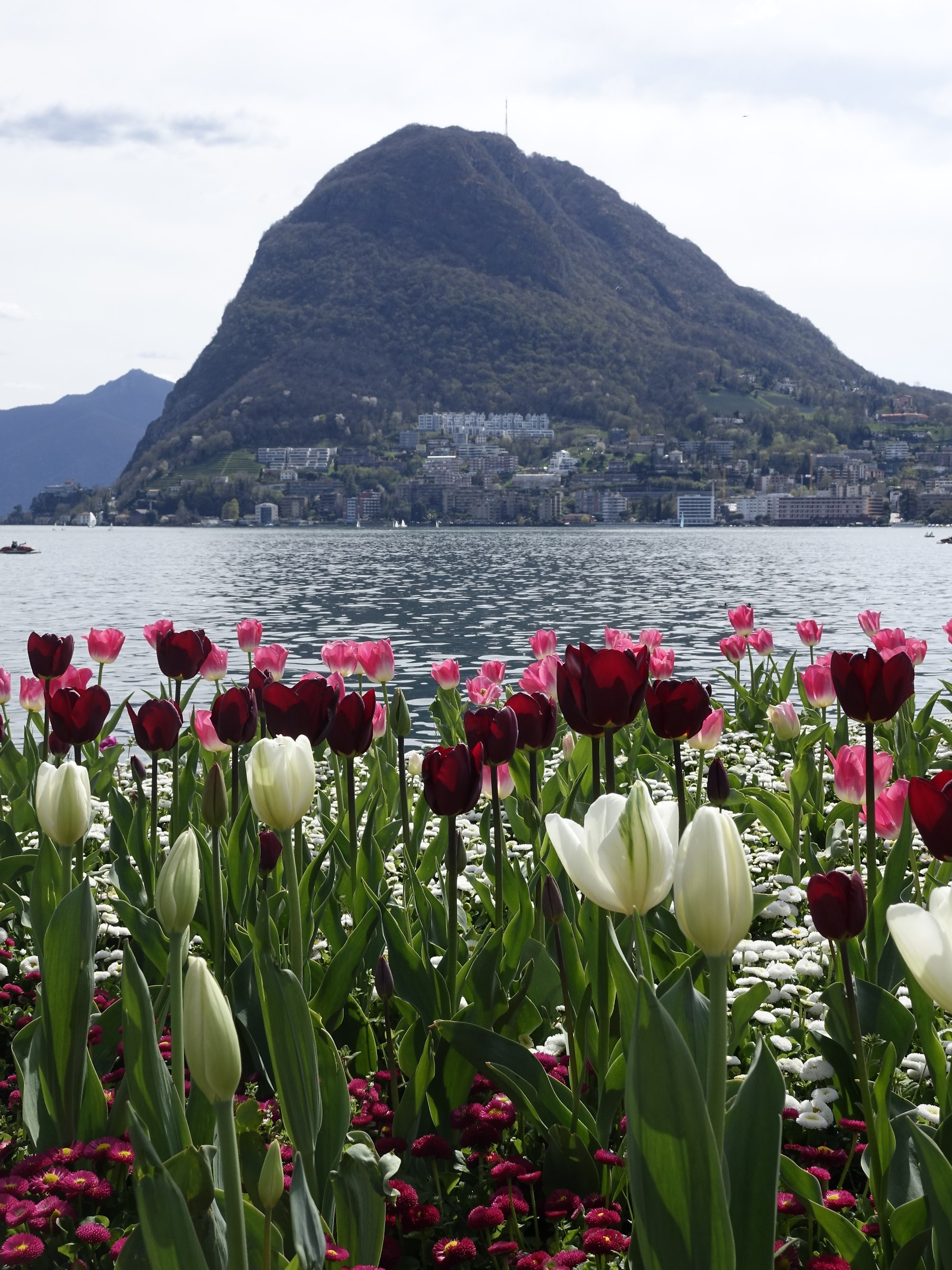 San Salvatore sullo sfondo