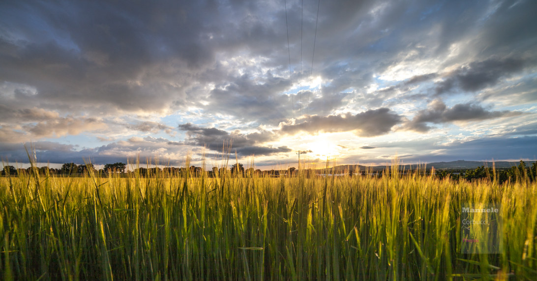 Nuvole su fili di verde