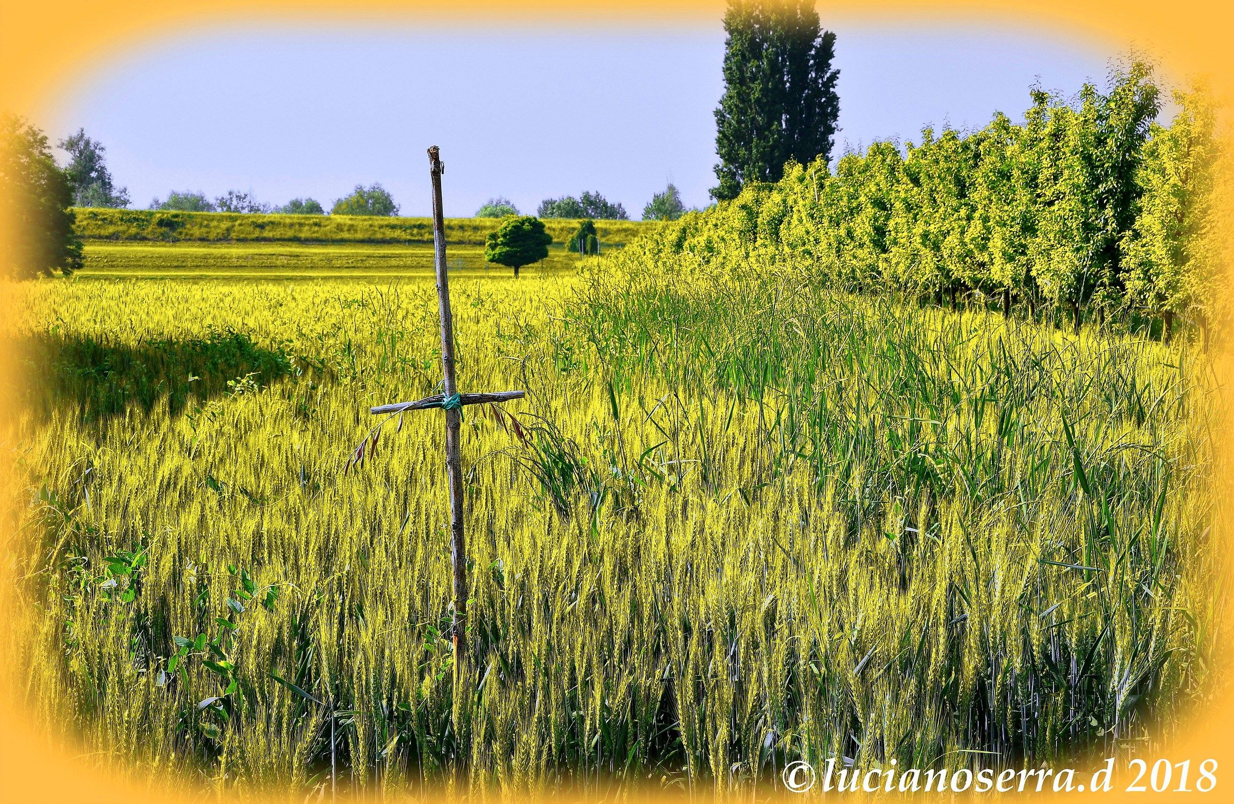 A protezione del raccolto...