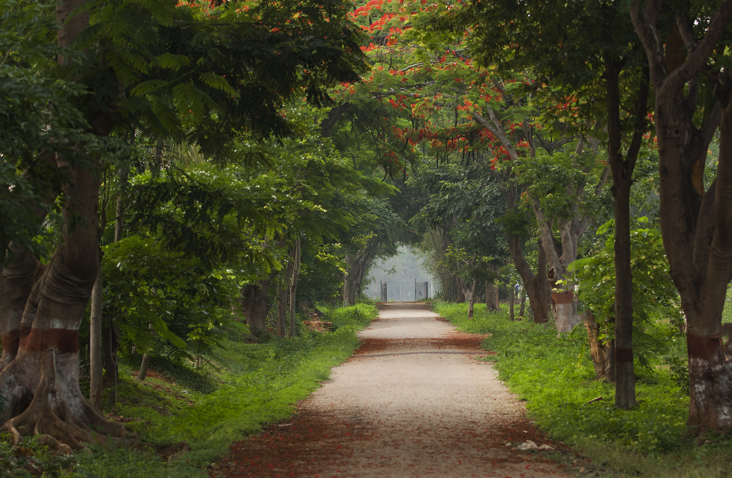 il cammino verso il cielo