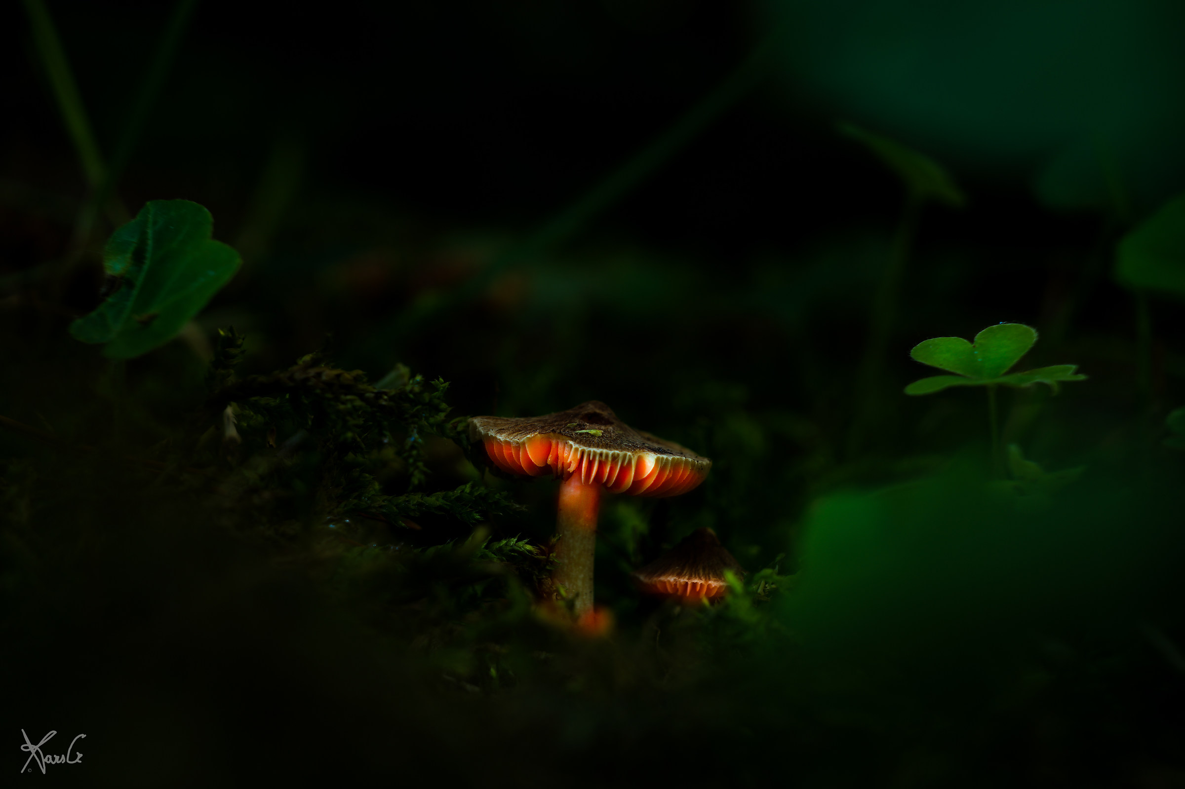 Grandepuuuffo, spegni la luce!