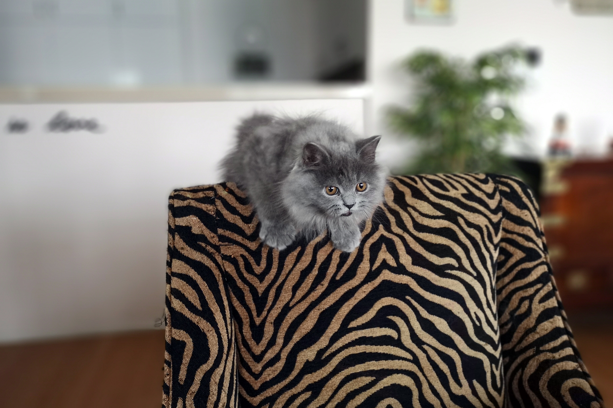 Sofia con Huawey P20 Pro