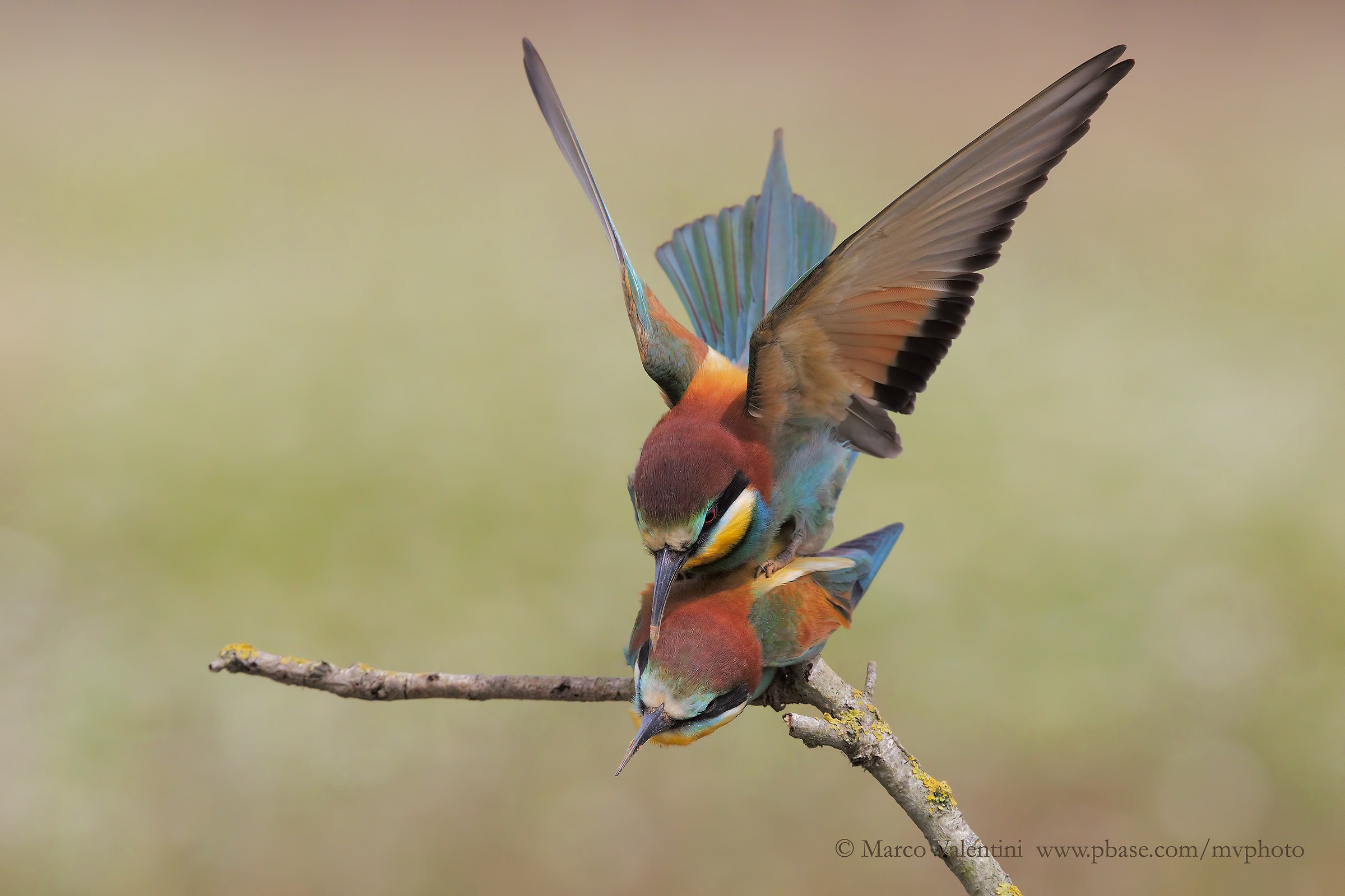 Different perspectives