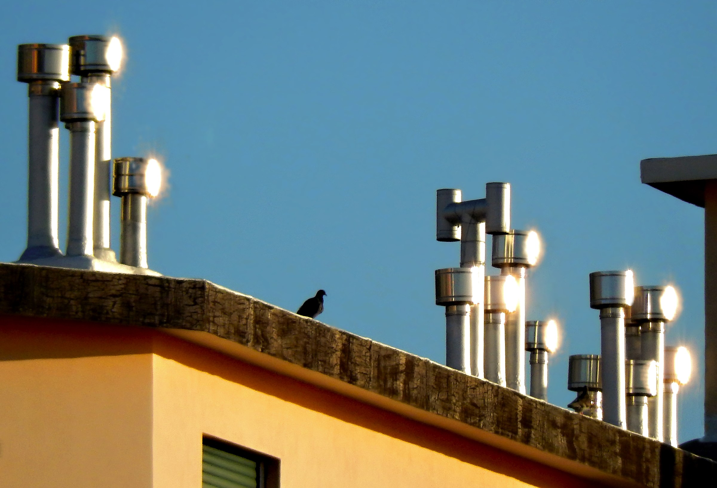 Le soliteeee … teste calde!! …