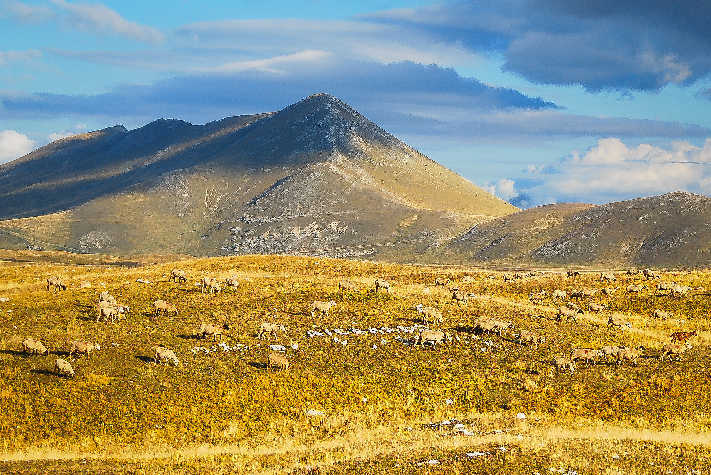 Transumanza - Campo Imperatore 2010