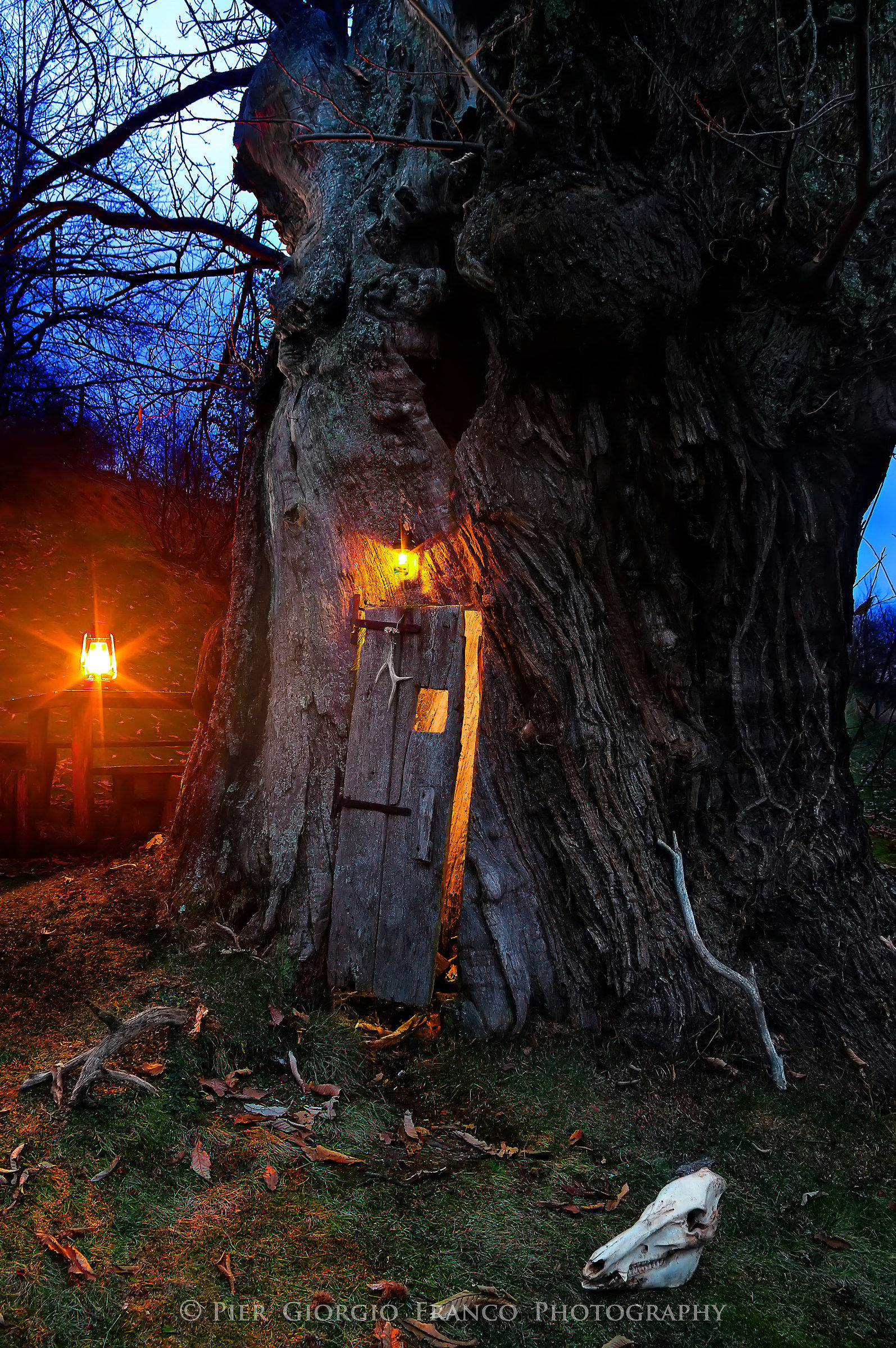 La casa degli elfi - Mindino di Garessio