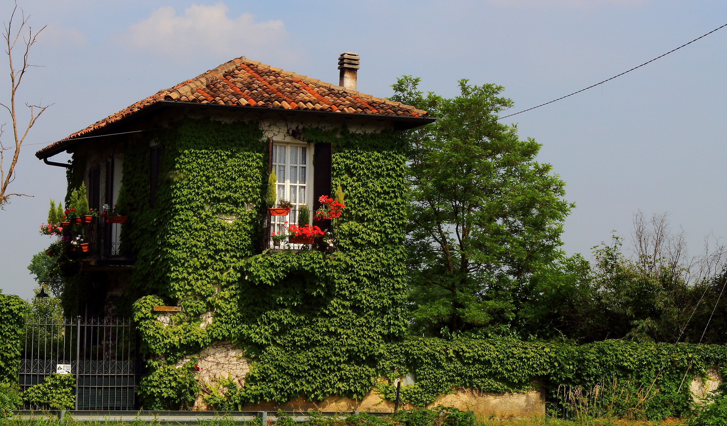 The house and the nature