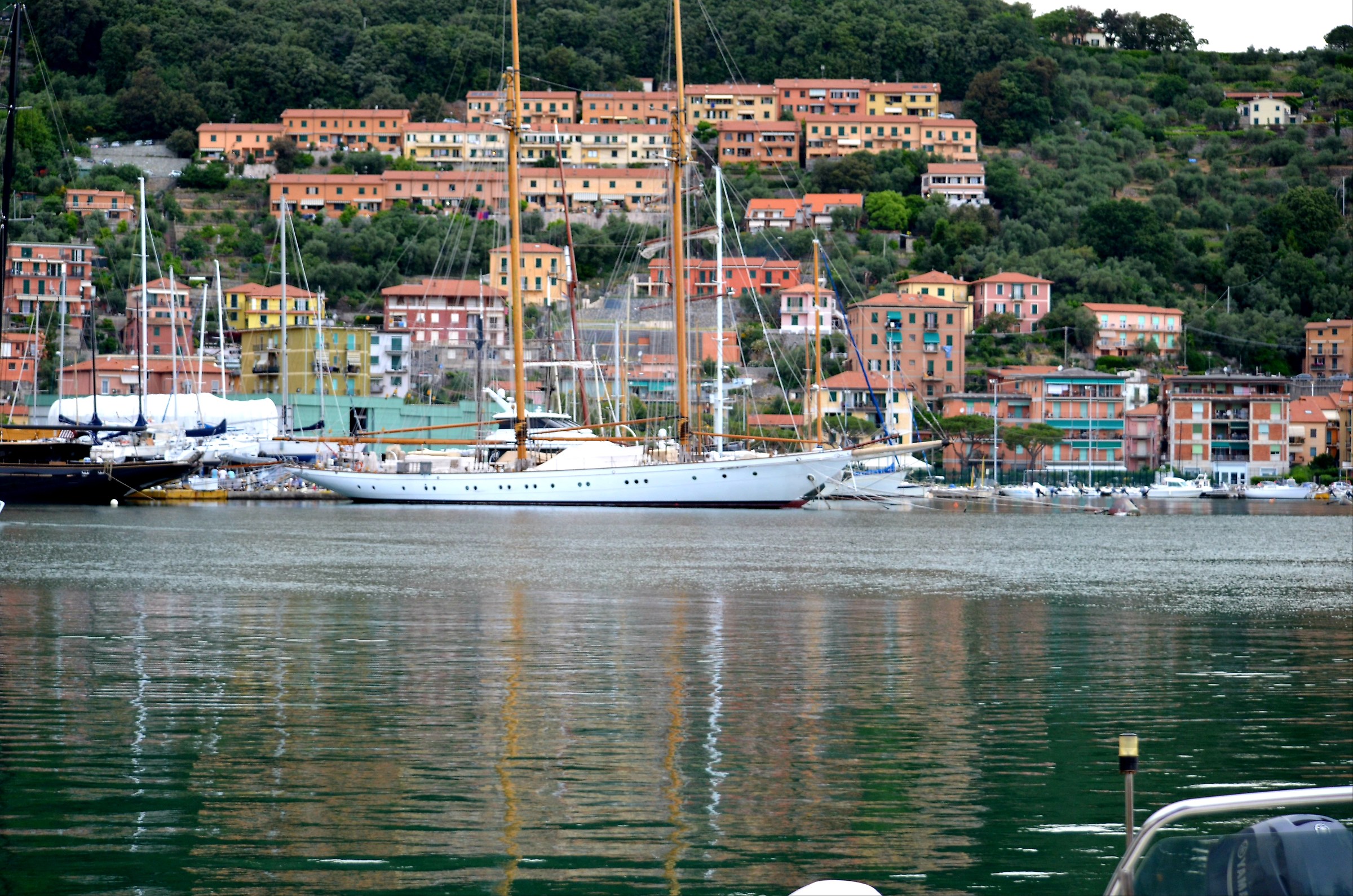 riflessi degli alberi di maestra